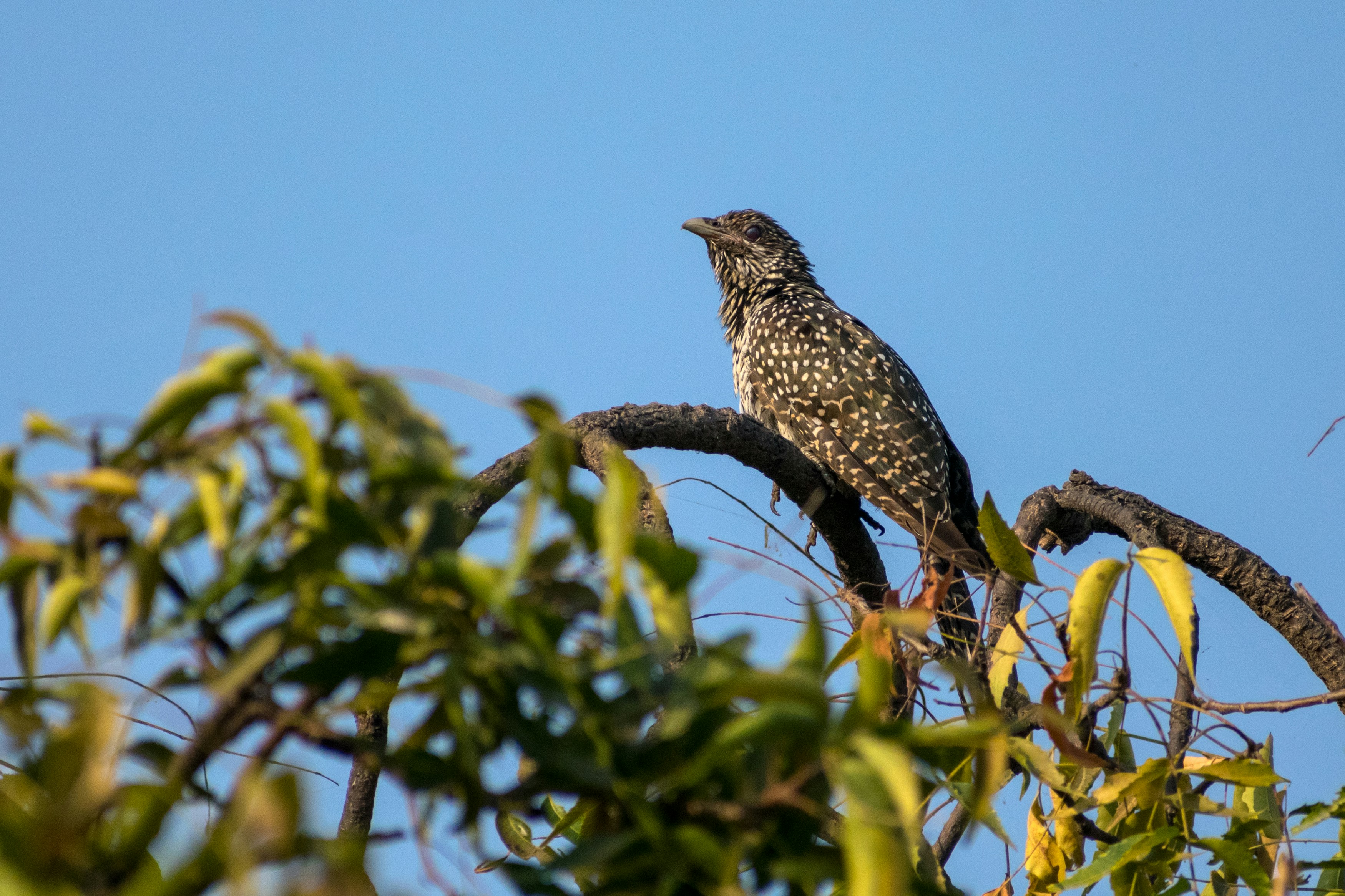 Photo by sonika_agarwal