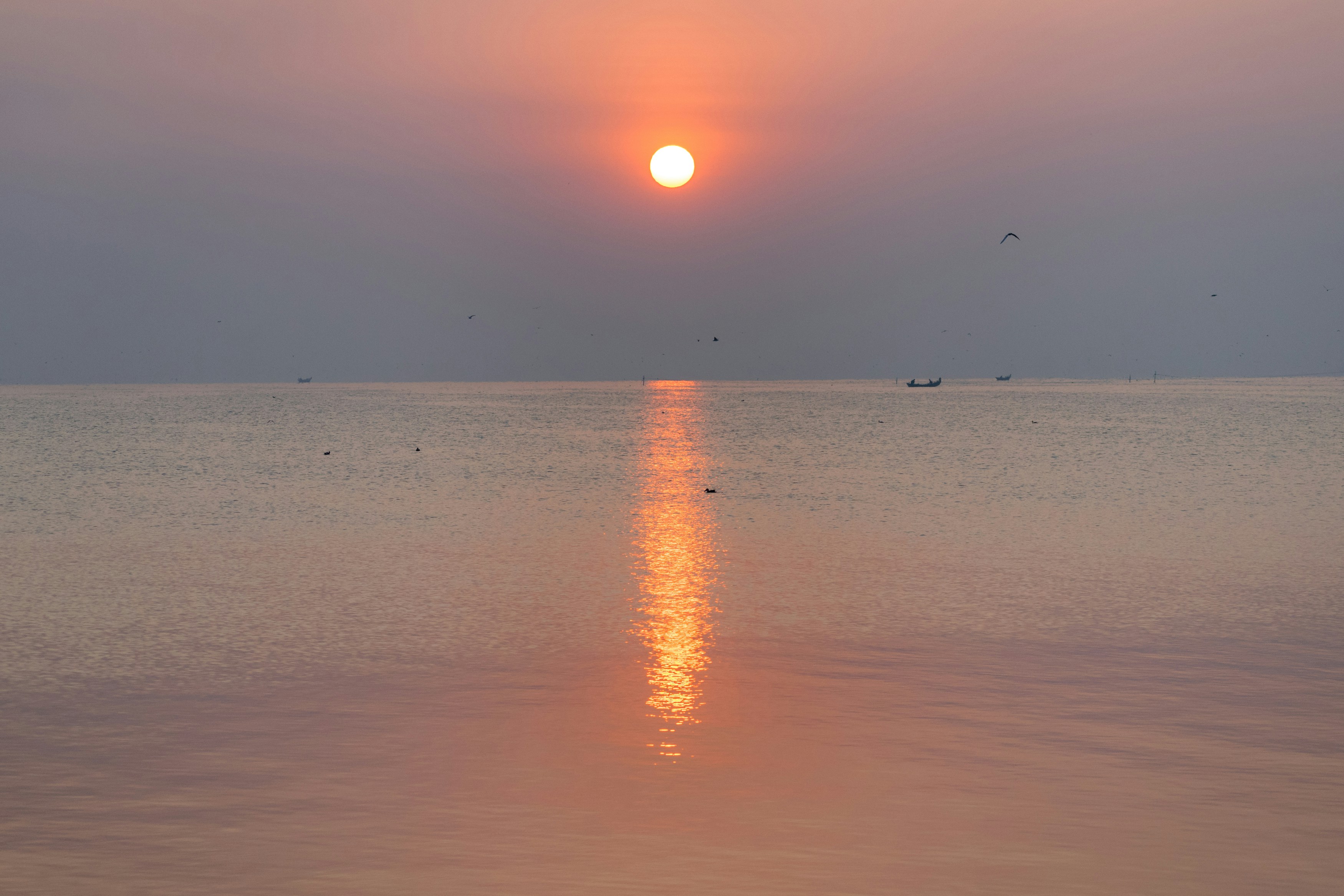 Photo by sonika_agarwal