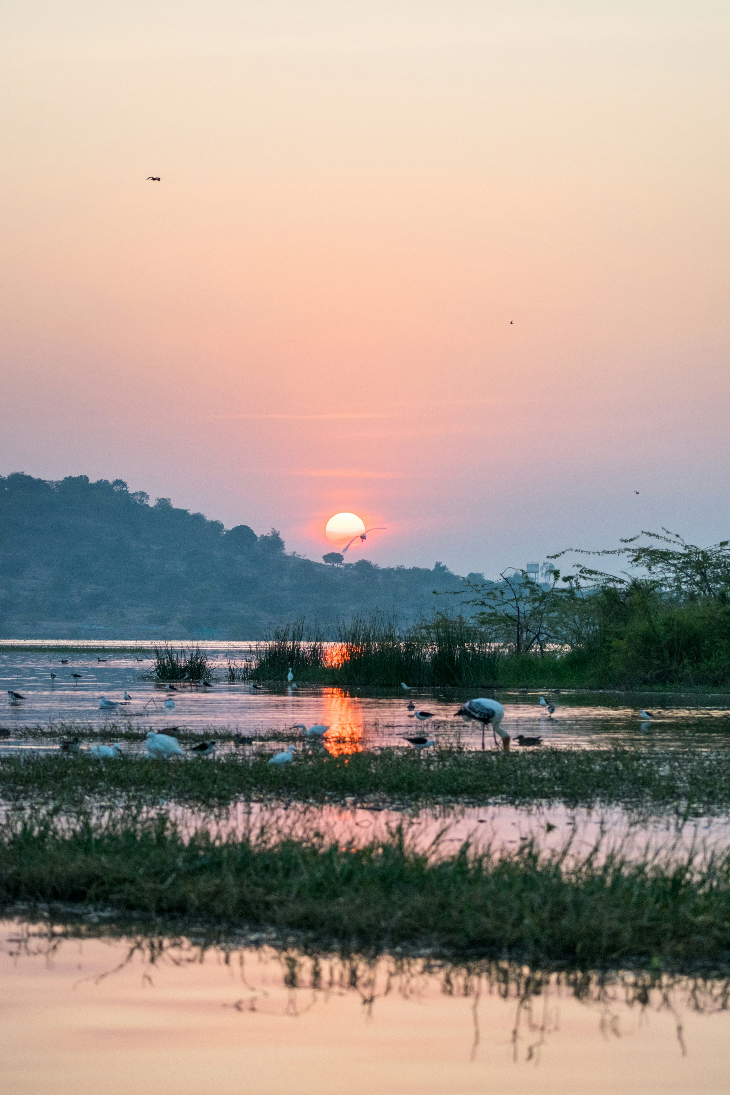 Photo by sonika_agarwal