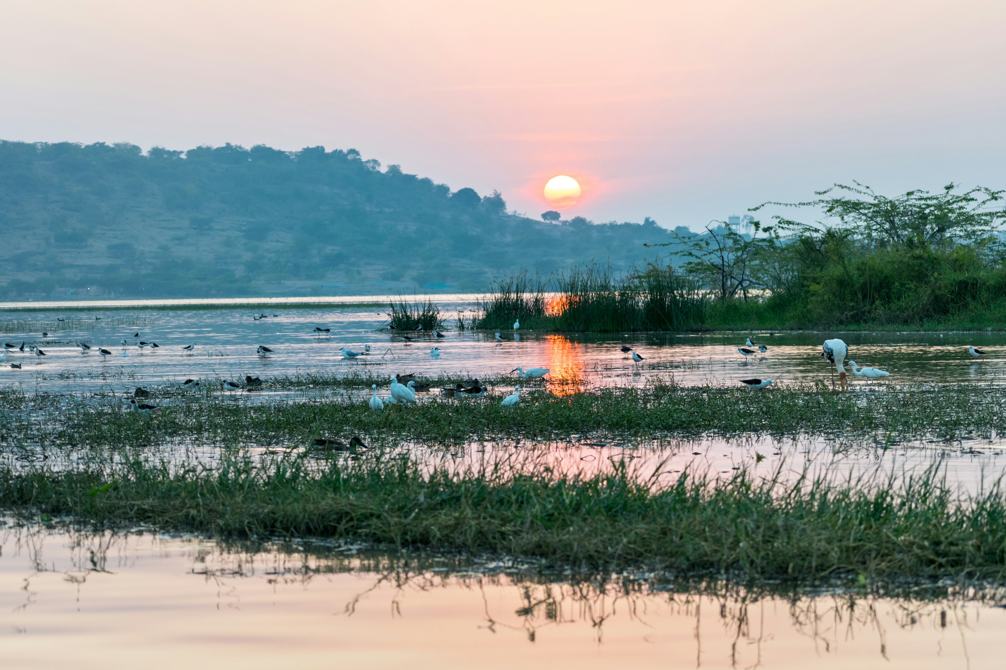 Photo by sonika_agarwal