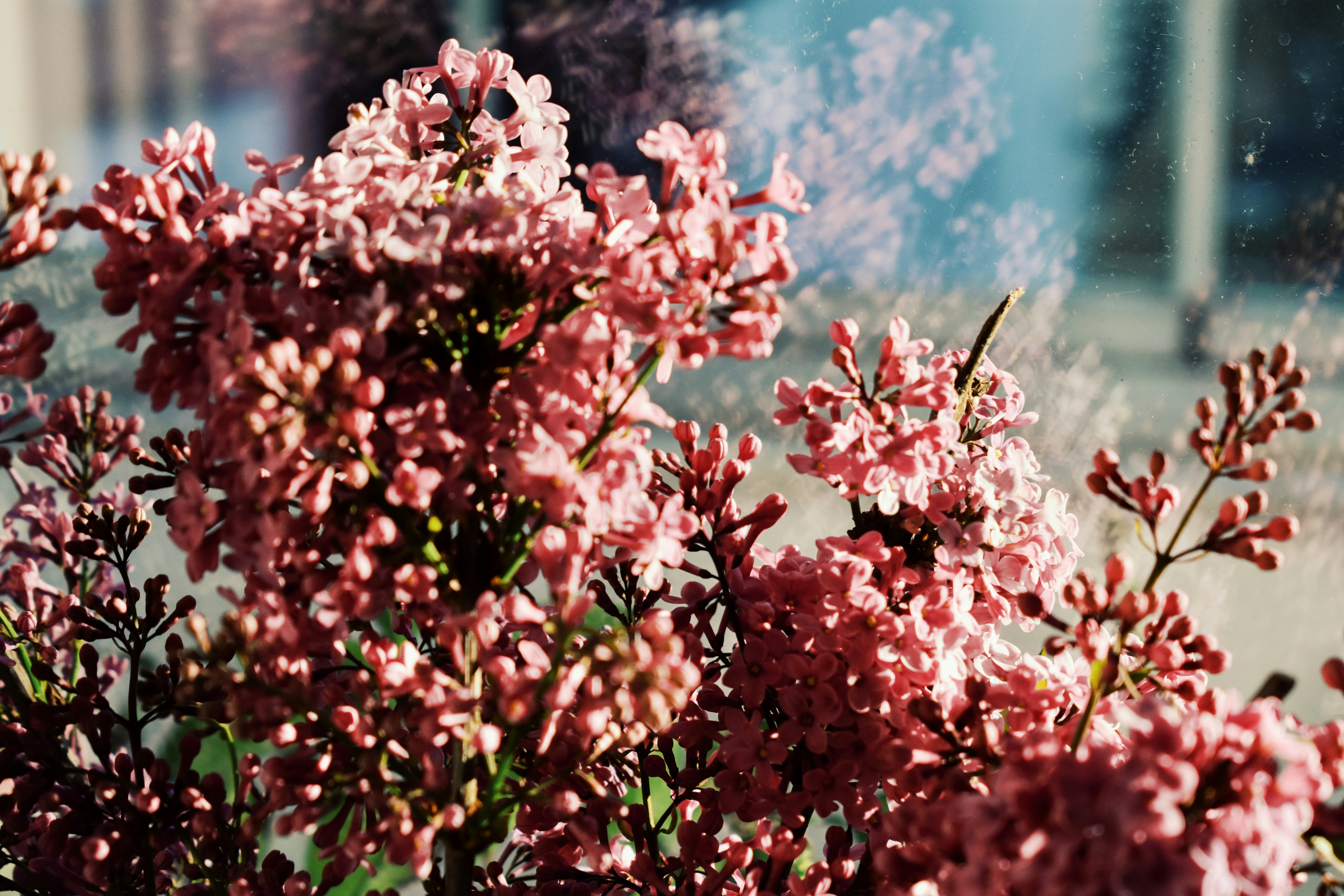 Photo by nisacokokumus