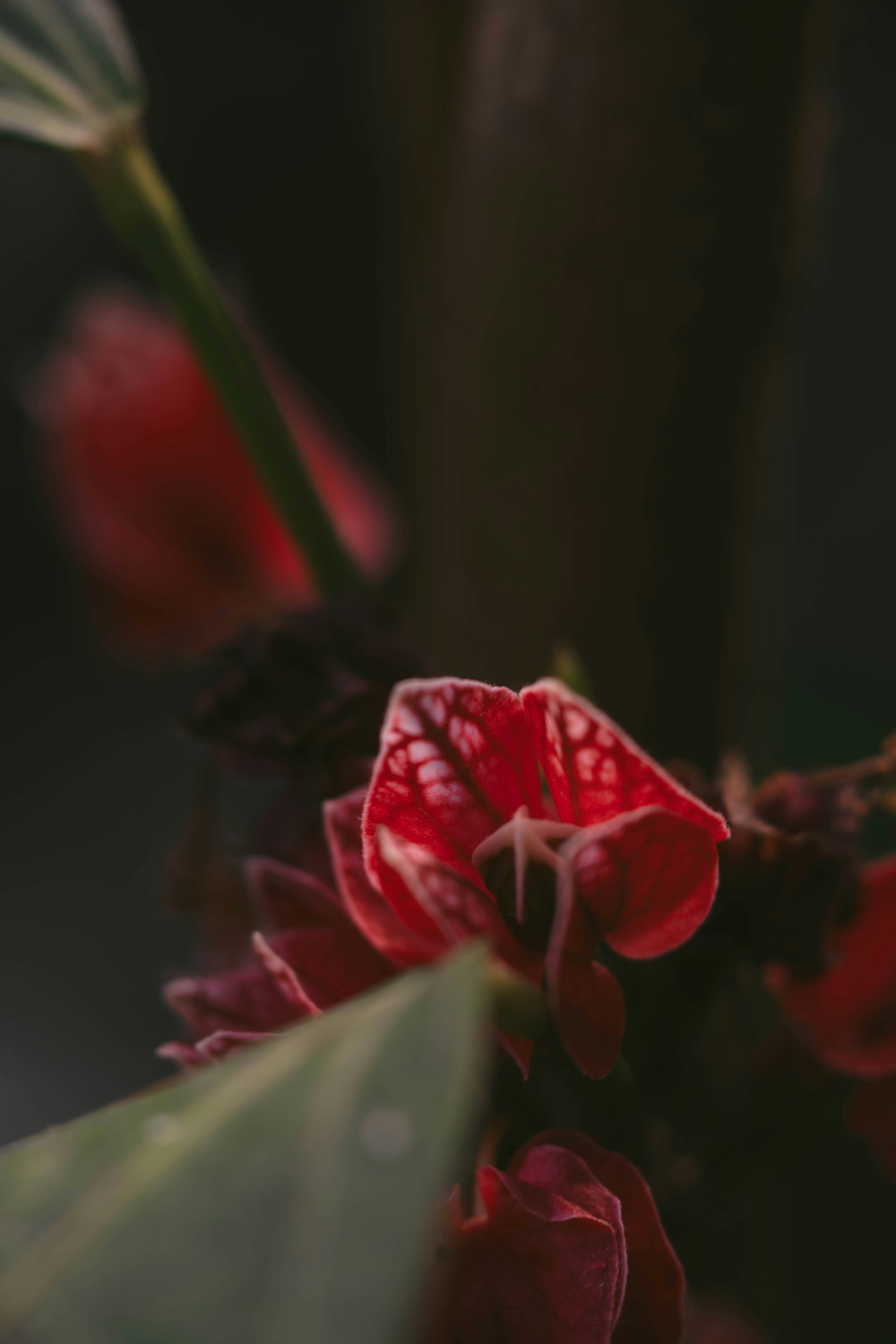 Photo by allexander_h