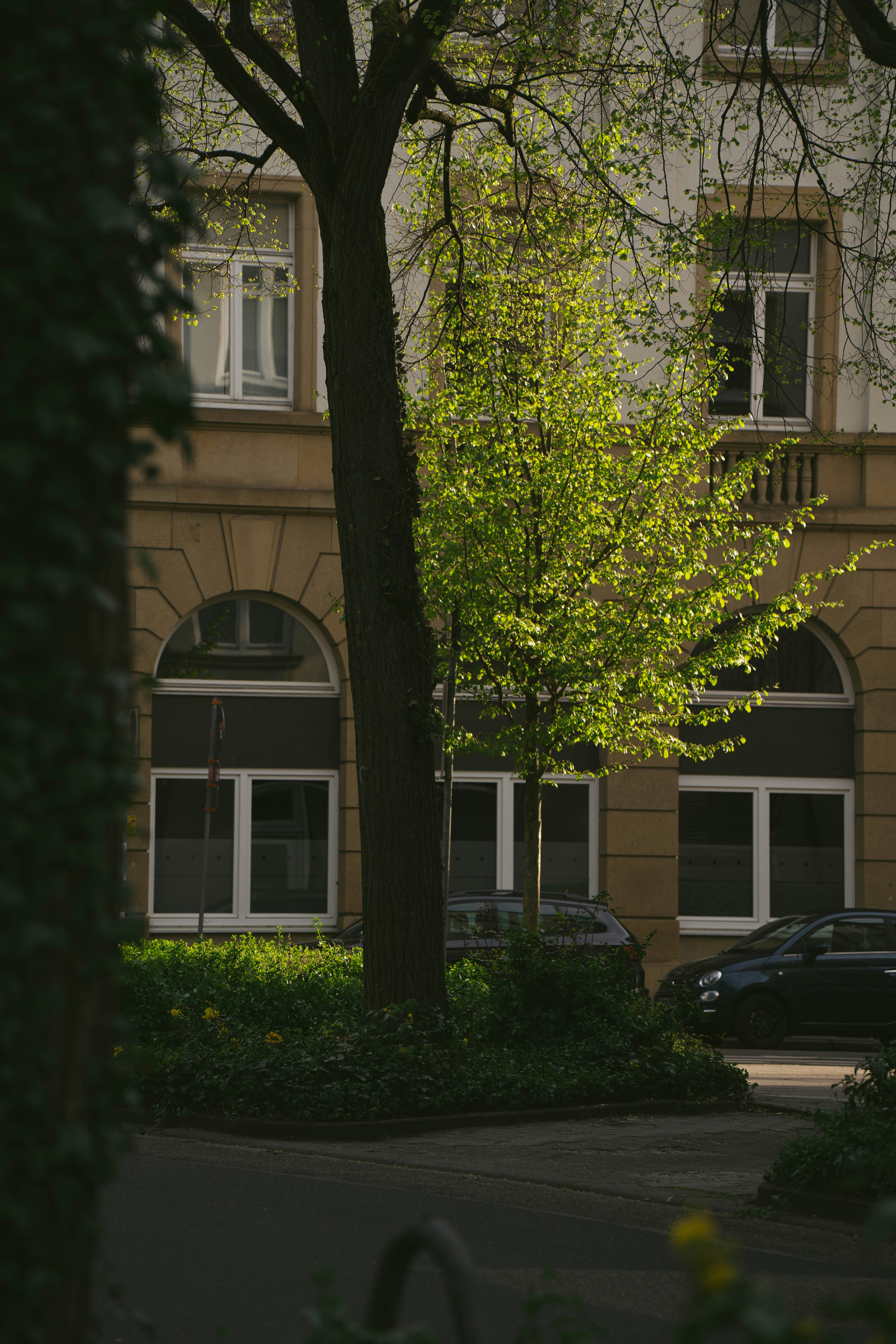 Photo by allexander_h