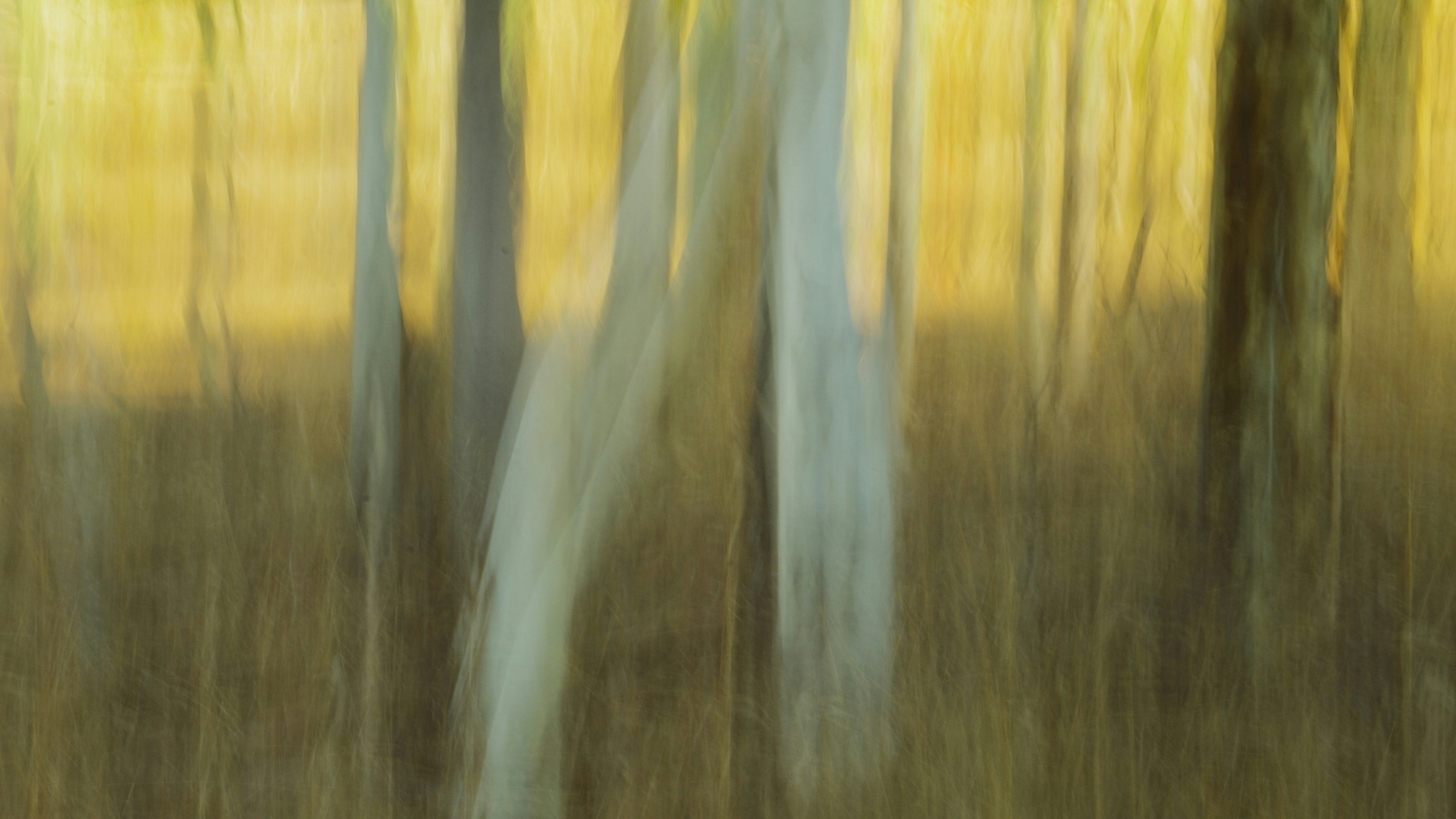 Photo by photoken123