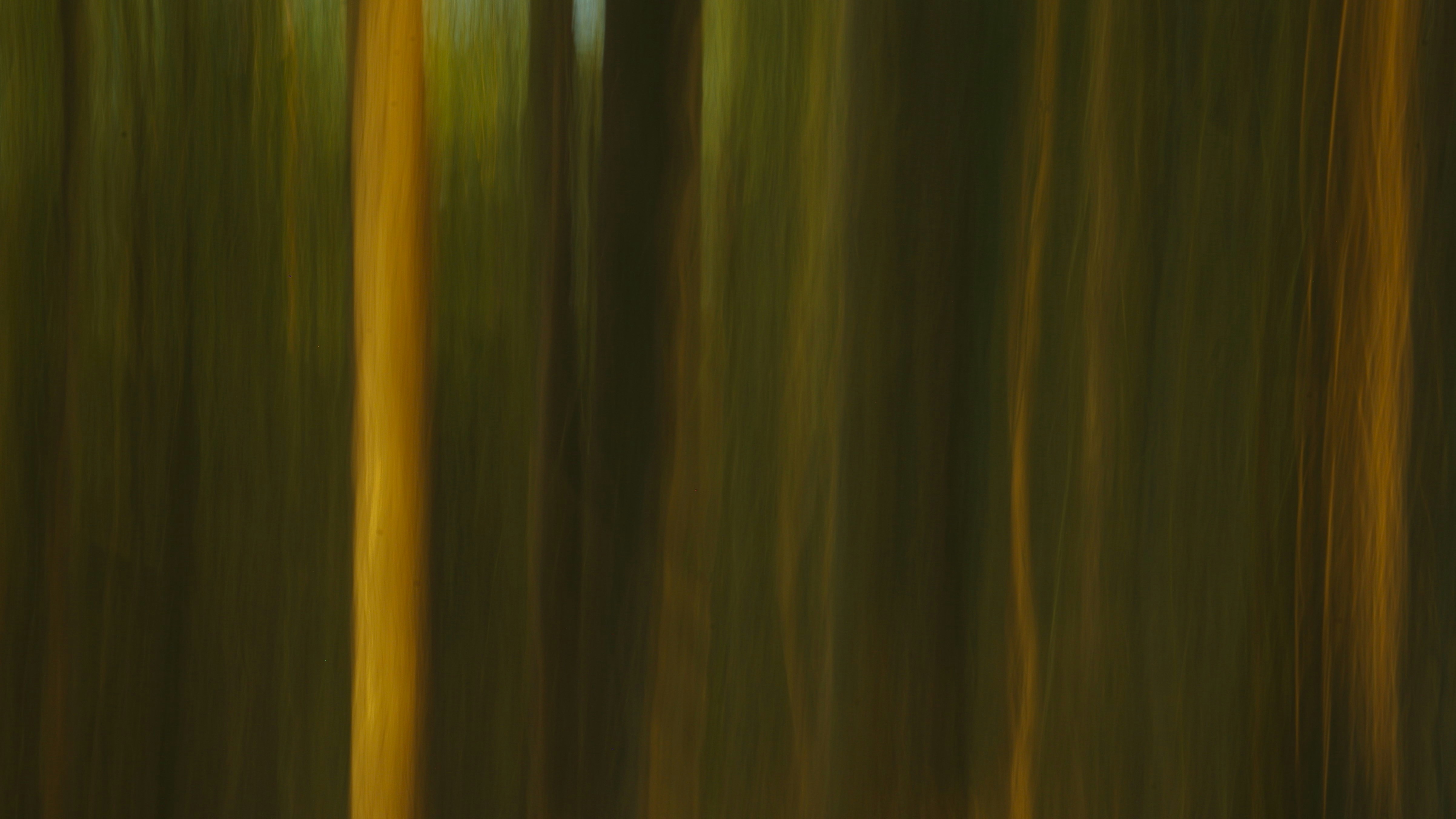 Photo by photoken123