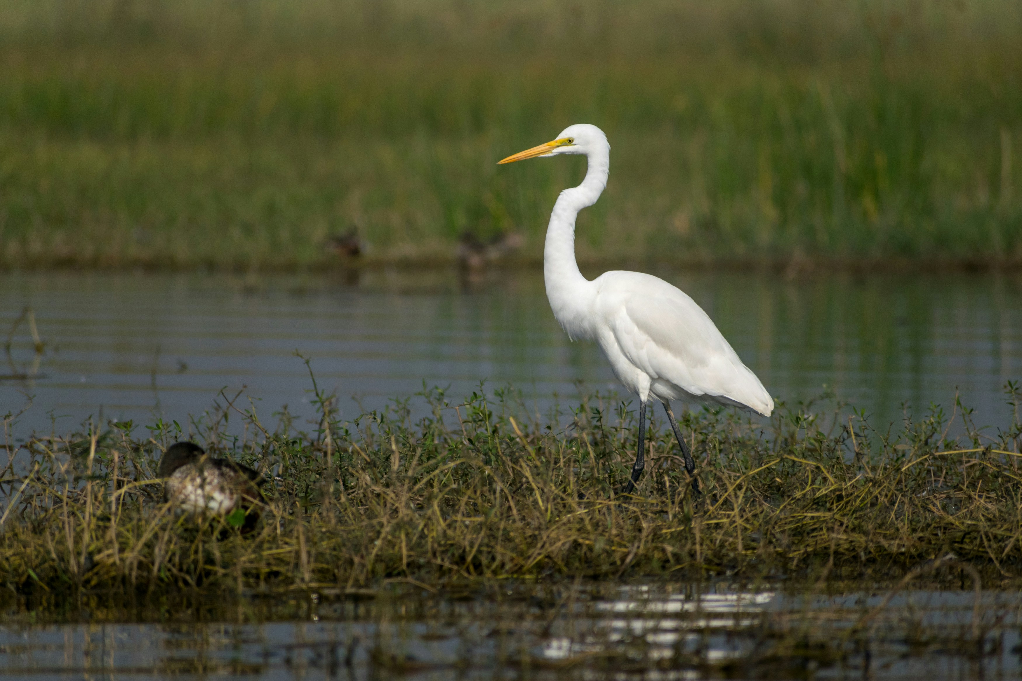 Photo by sonika_agarwal