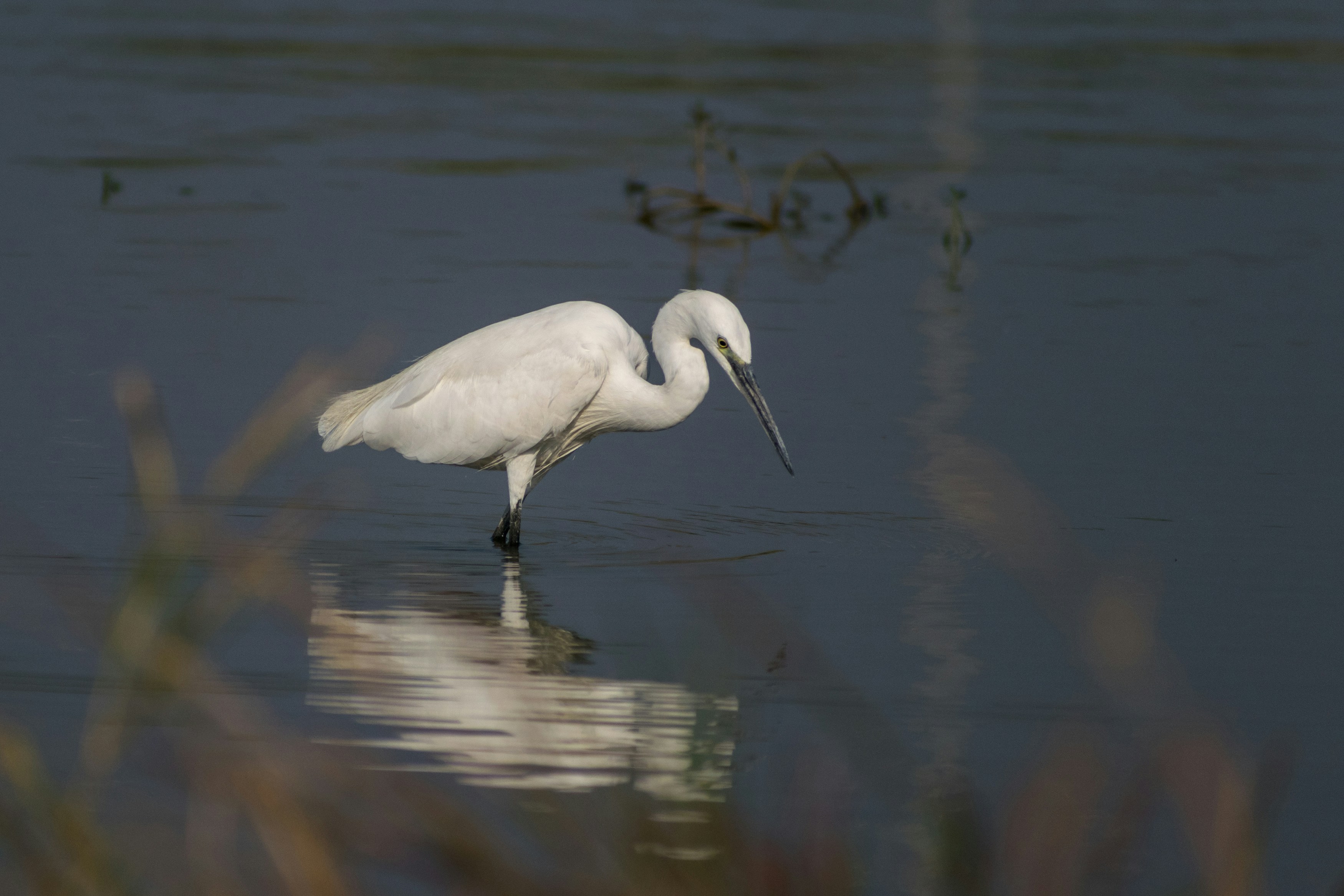 Photo by sonika_agarwal