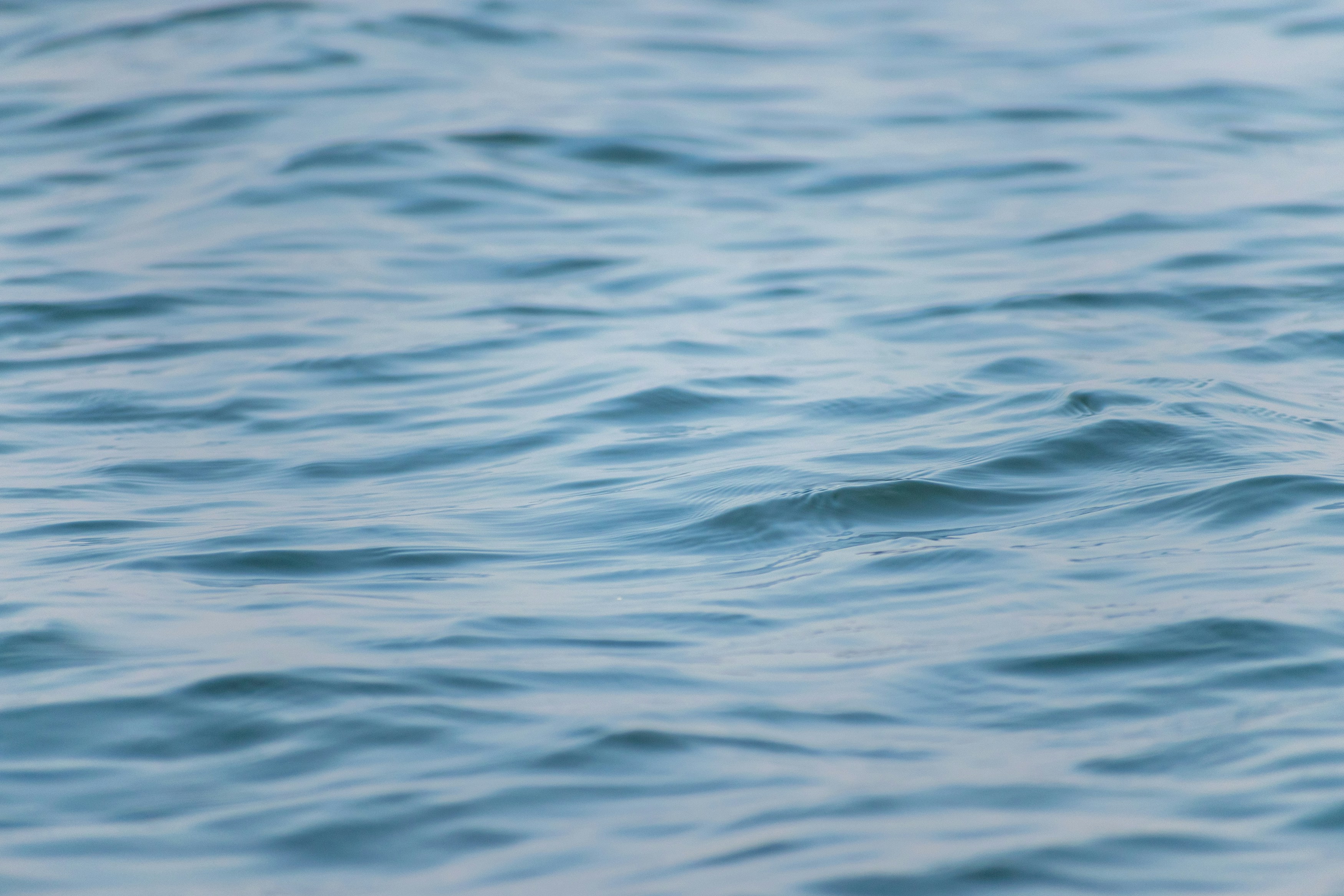 Photo by sonika_agarwal