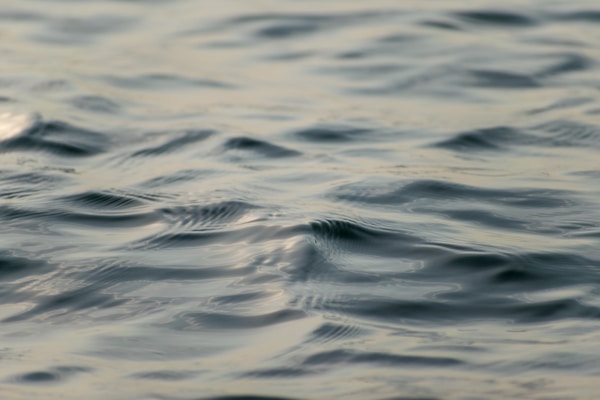 Pool services in Kitchener and the KW region