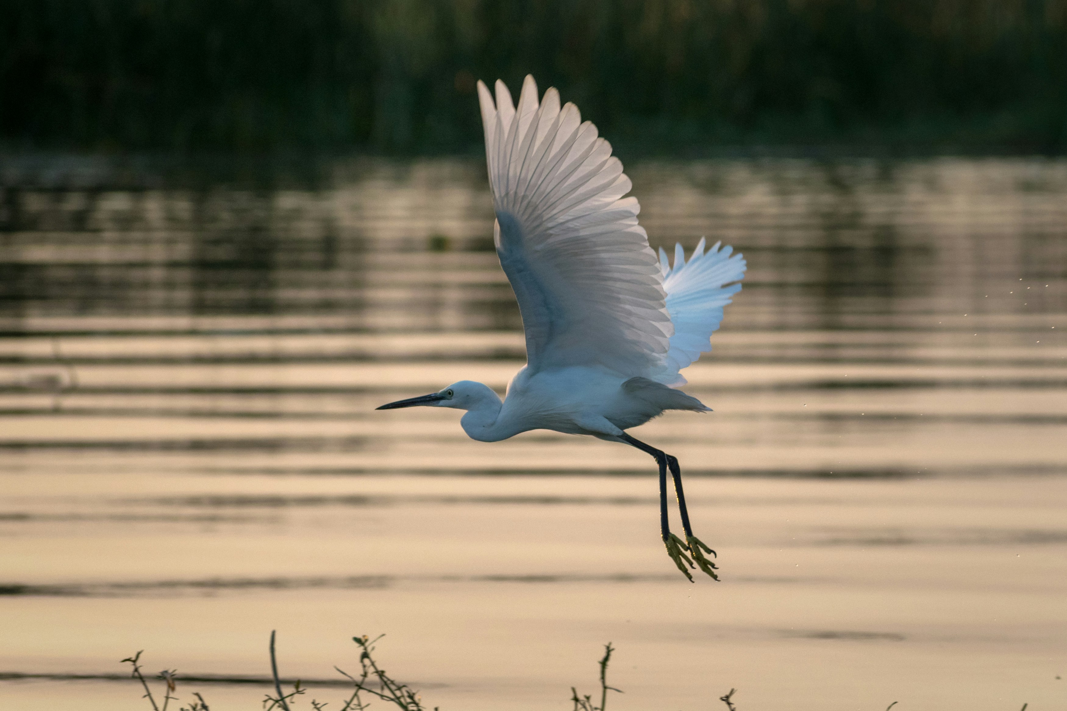 Photo by sonika_agarwal