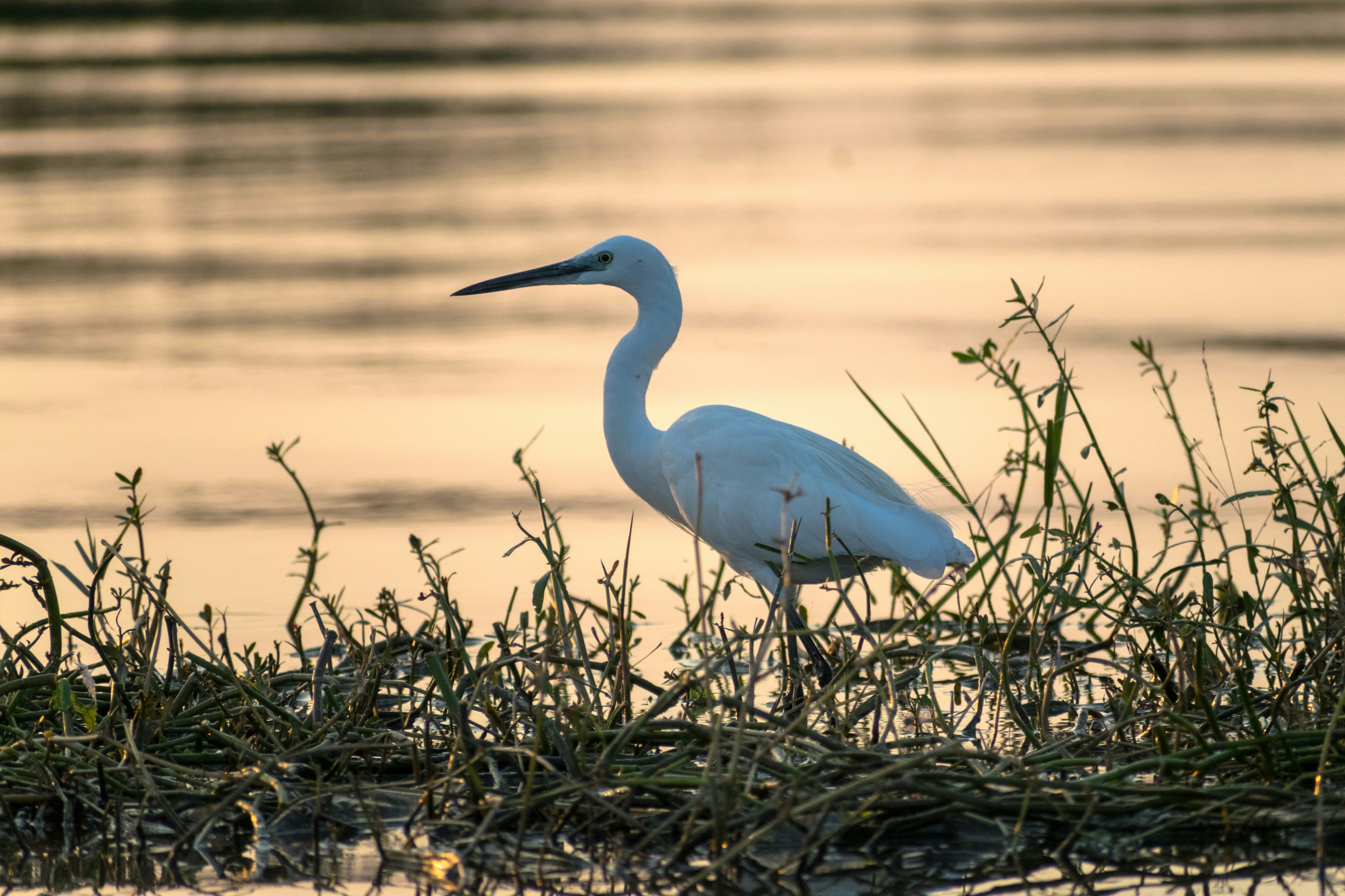 Photo by sonika_agarwal