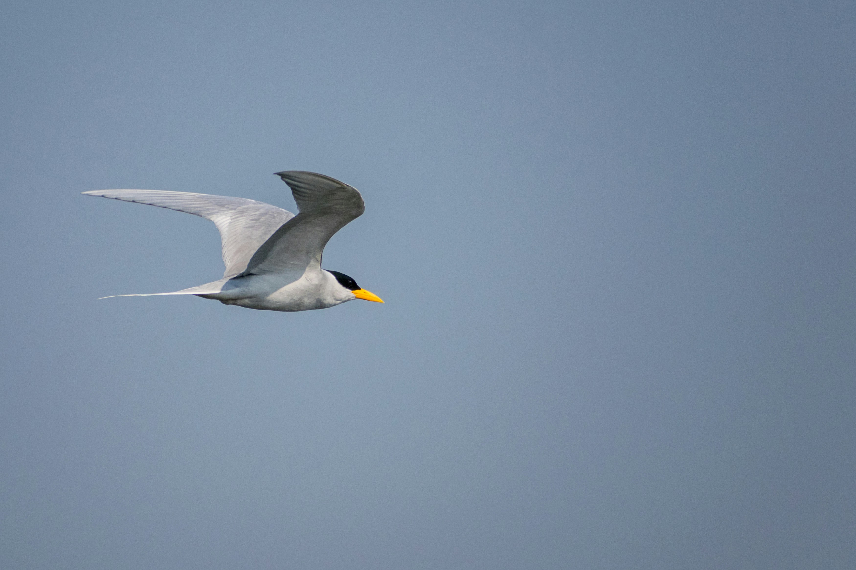 Photo by sonika_agarwal