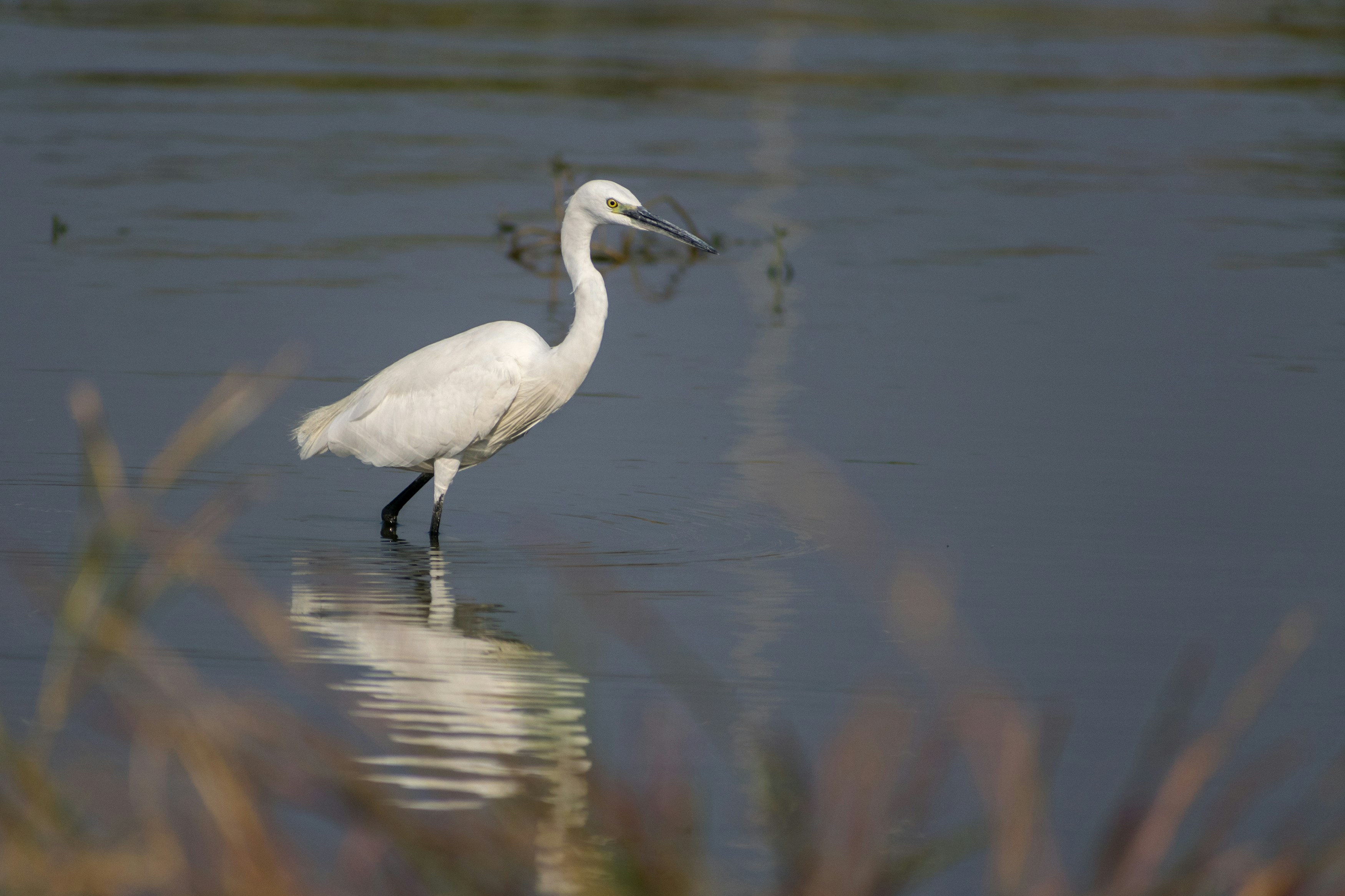 Photo by sonika_agarwal