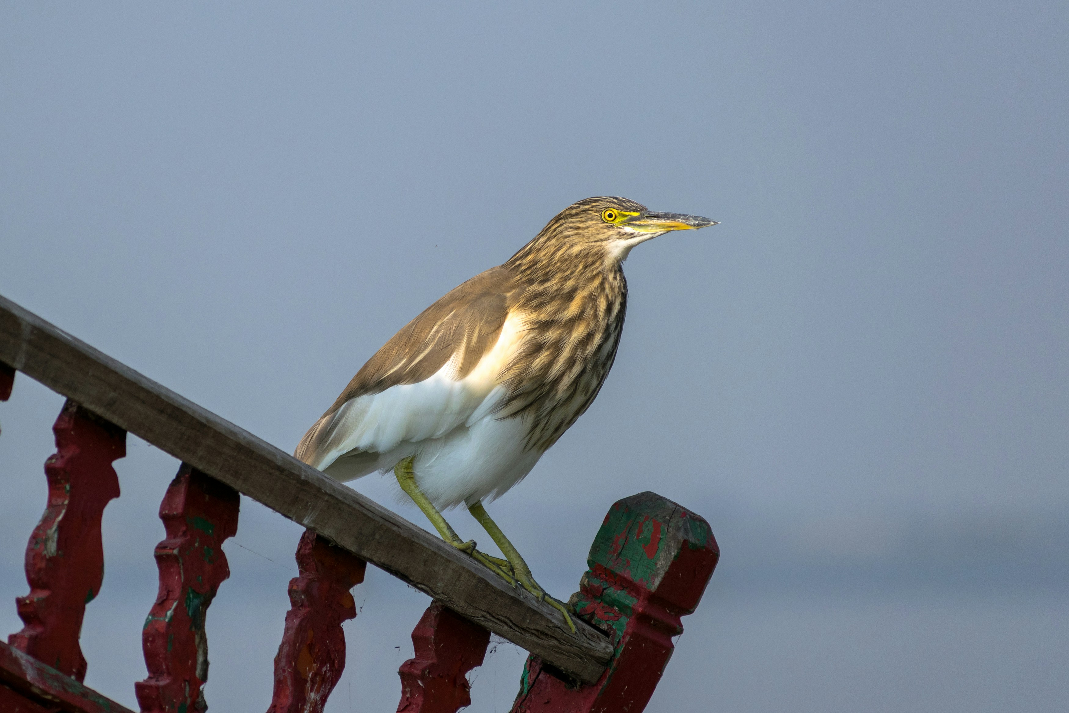 Photo by sonika_agarwal