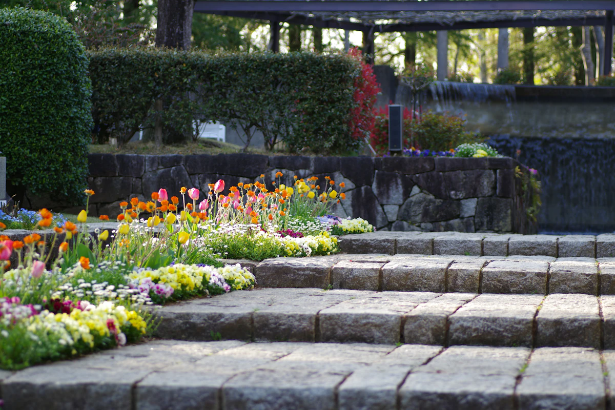 Wide stone steps and low stone wall with trimmed hedges and flower beds along the walk