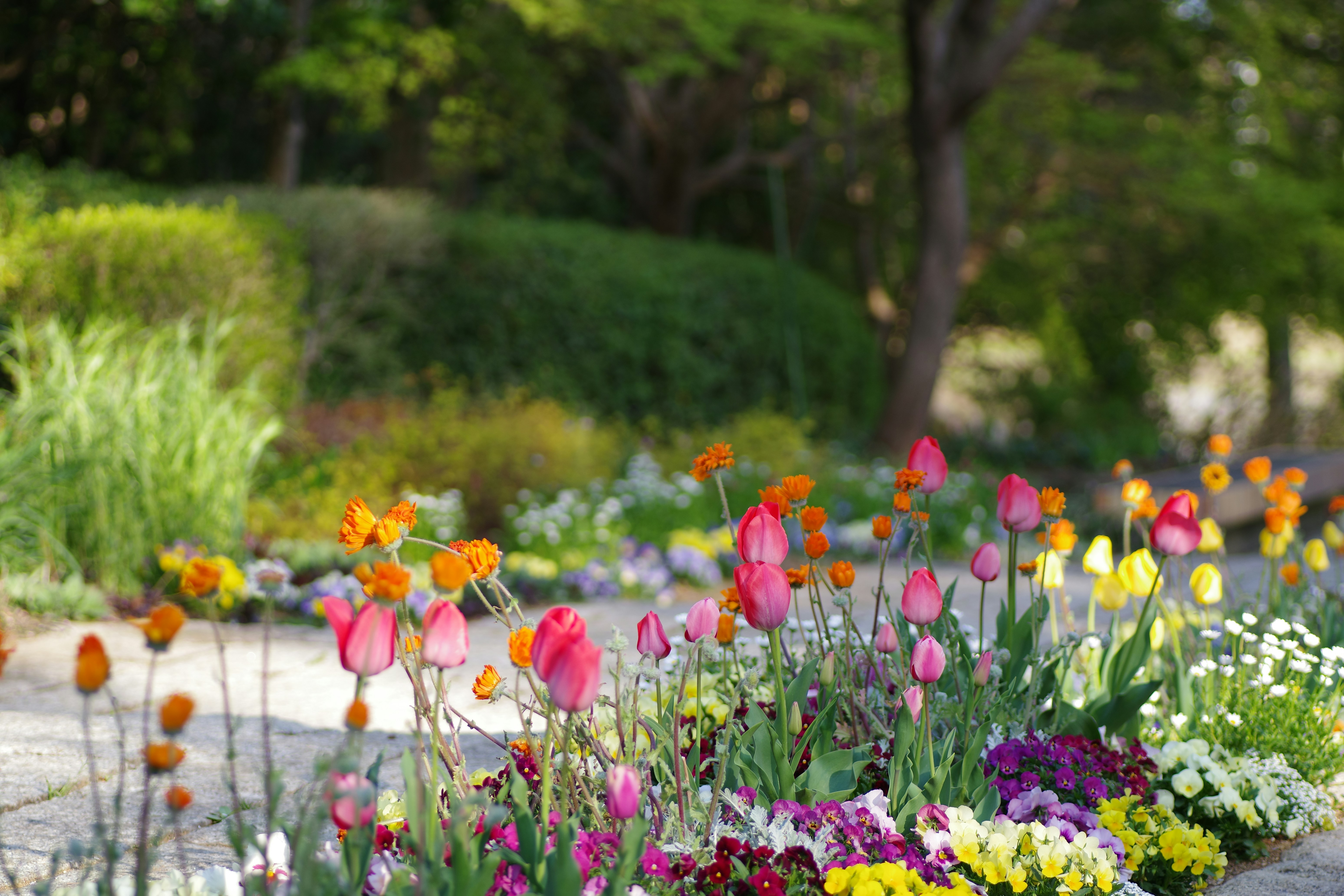 Bright flowers bloom in a beautiful garden.