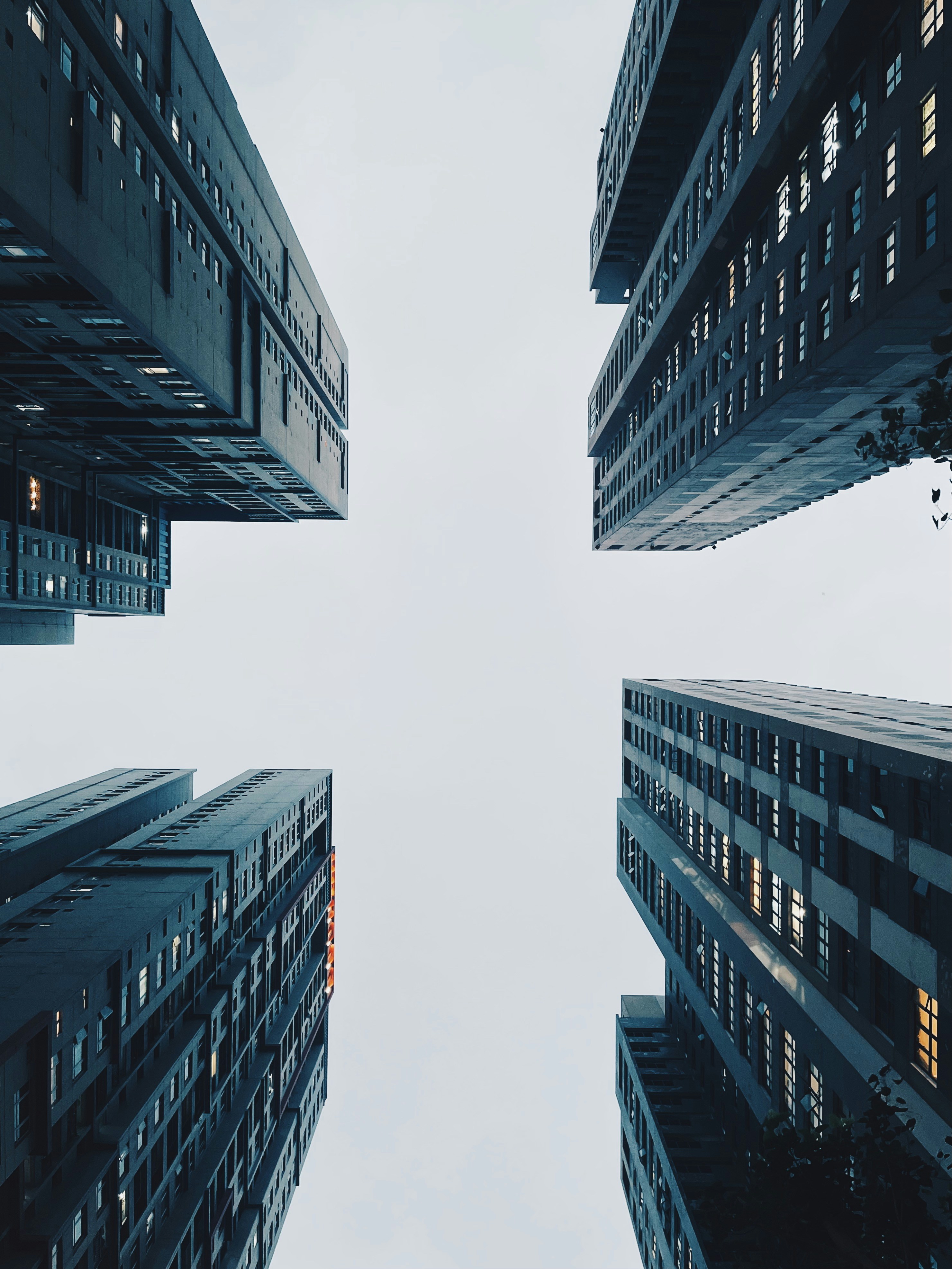 Photo by plonlabrisk