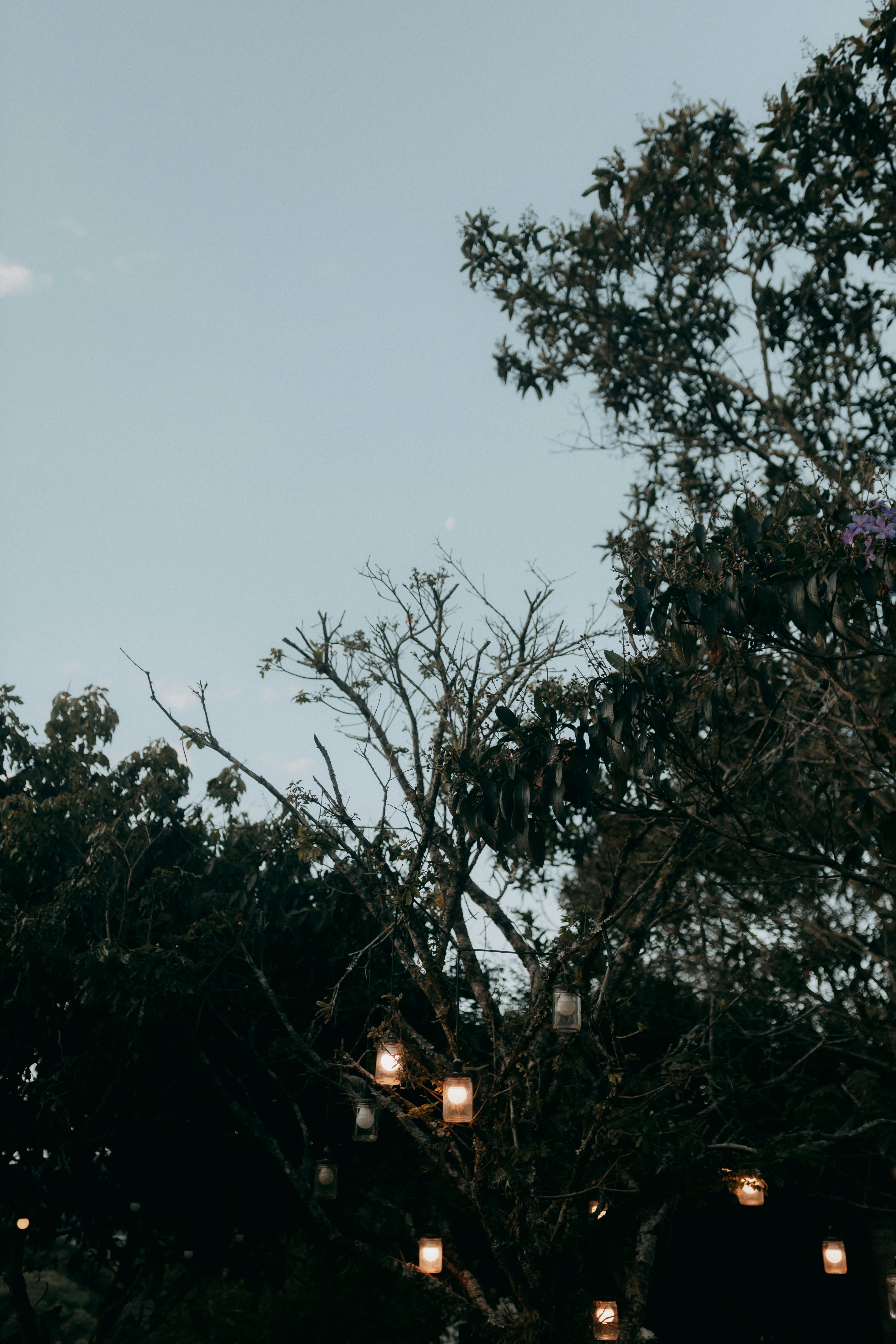 Photo by alexandermassph