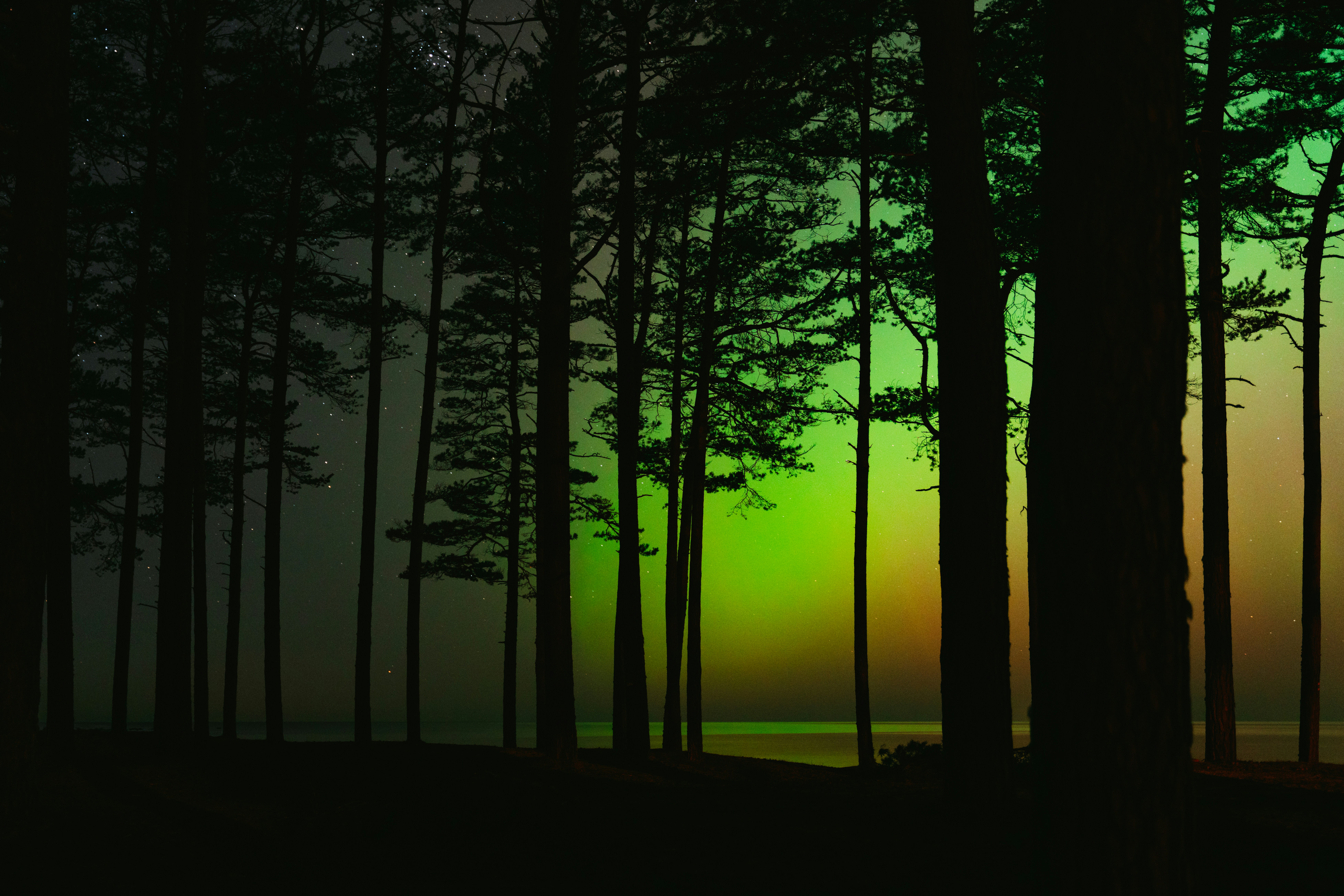 Myths, Legends, and the Science Behind the Magic - green flash sunset Lake Michigan