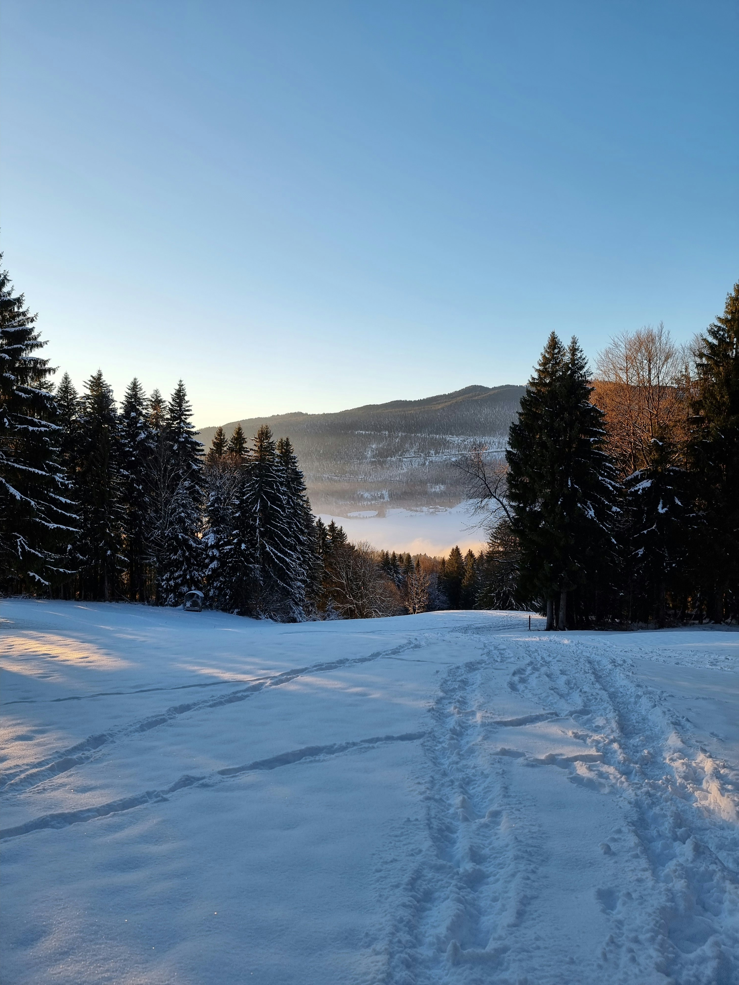 Photo by godefroyboutet