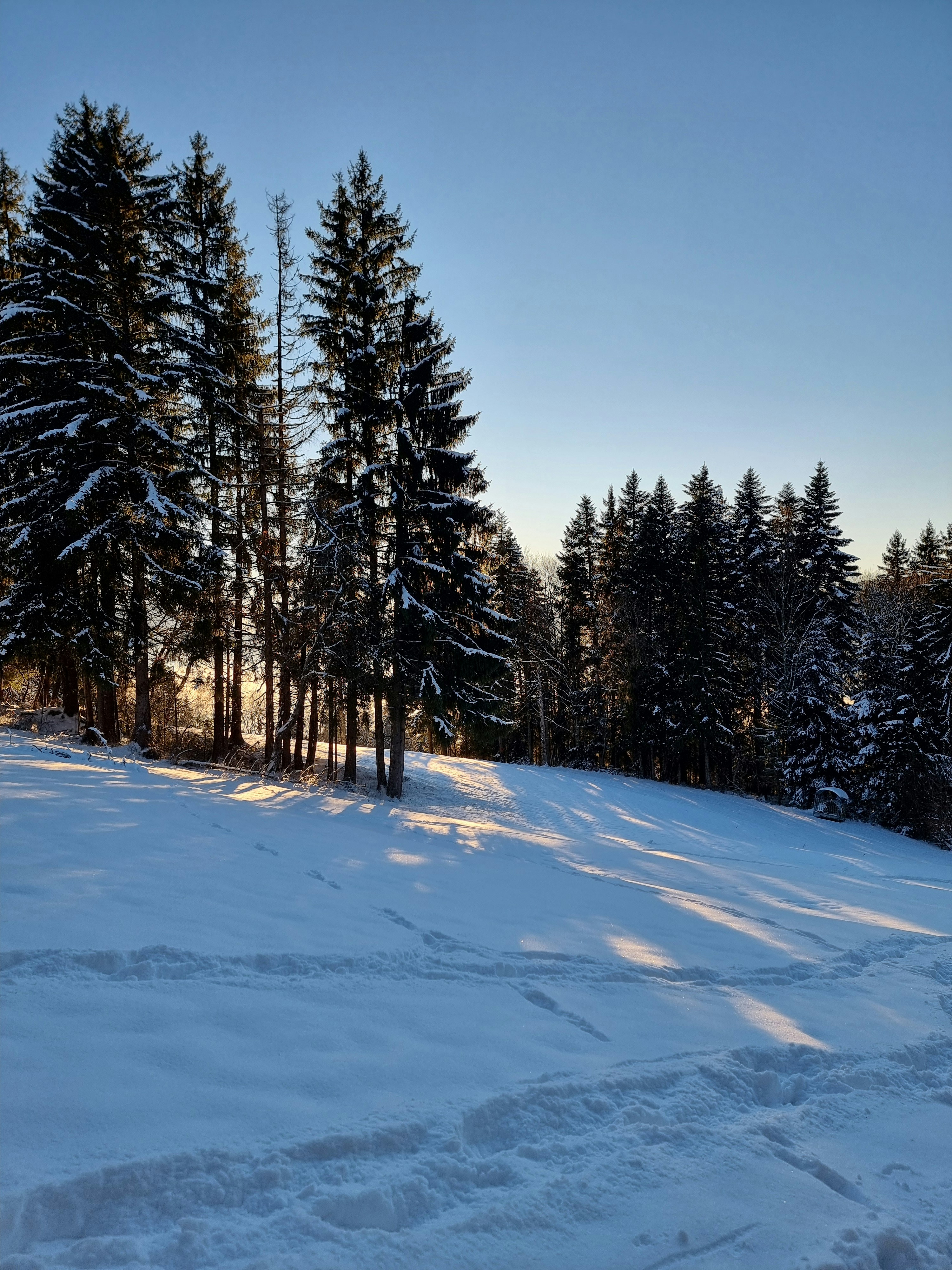 Photo by godefroyboutet