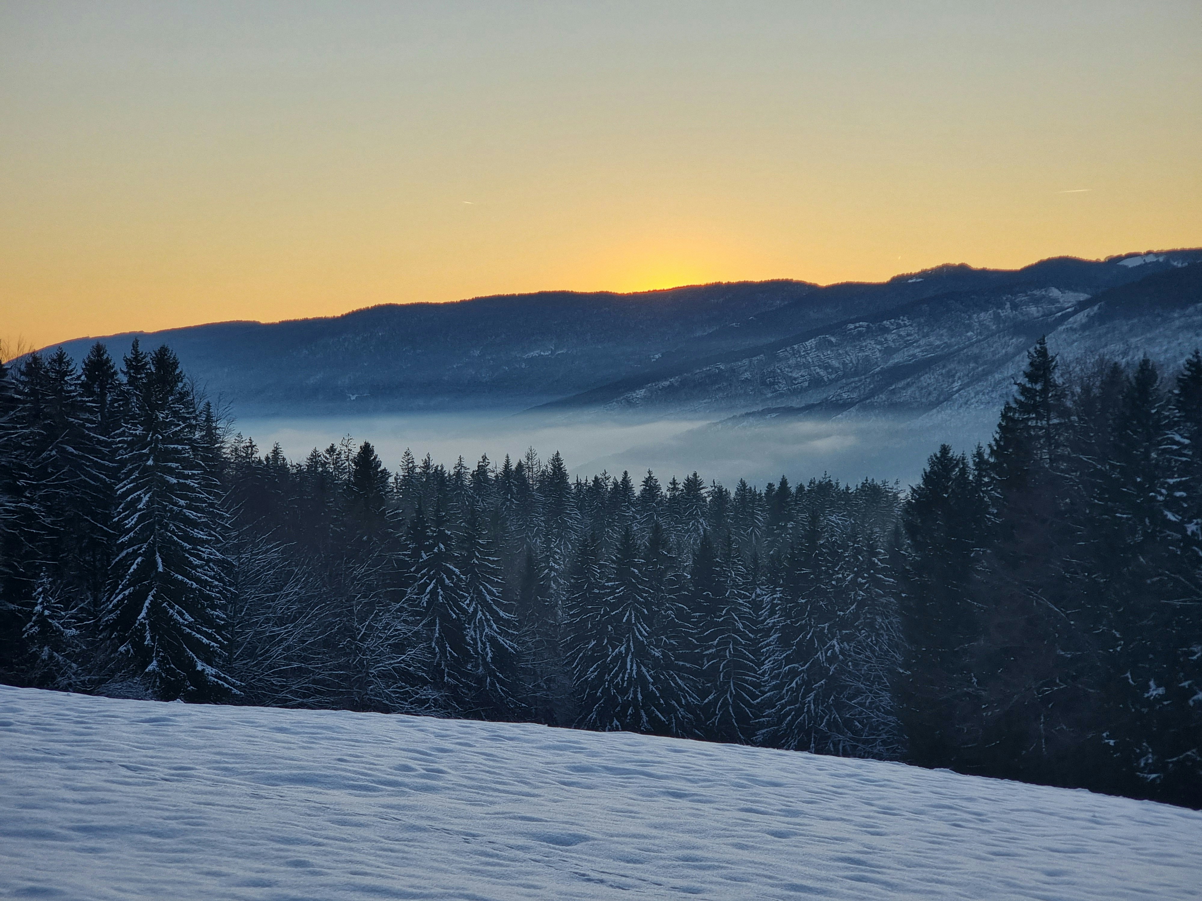 Photo by godefroyboutet
