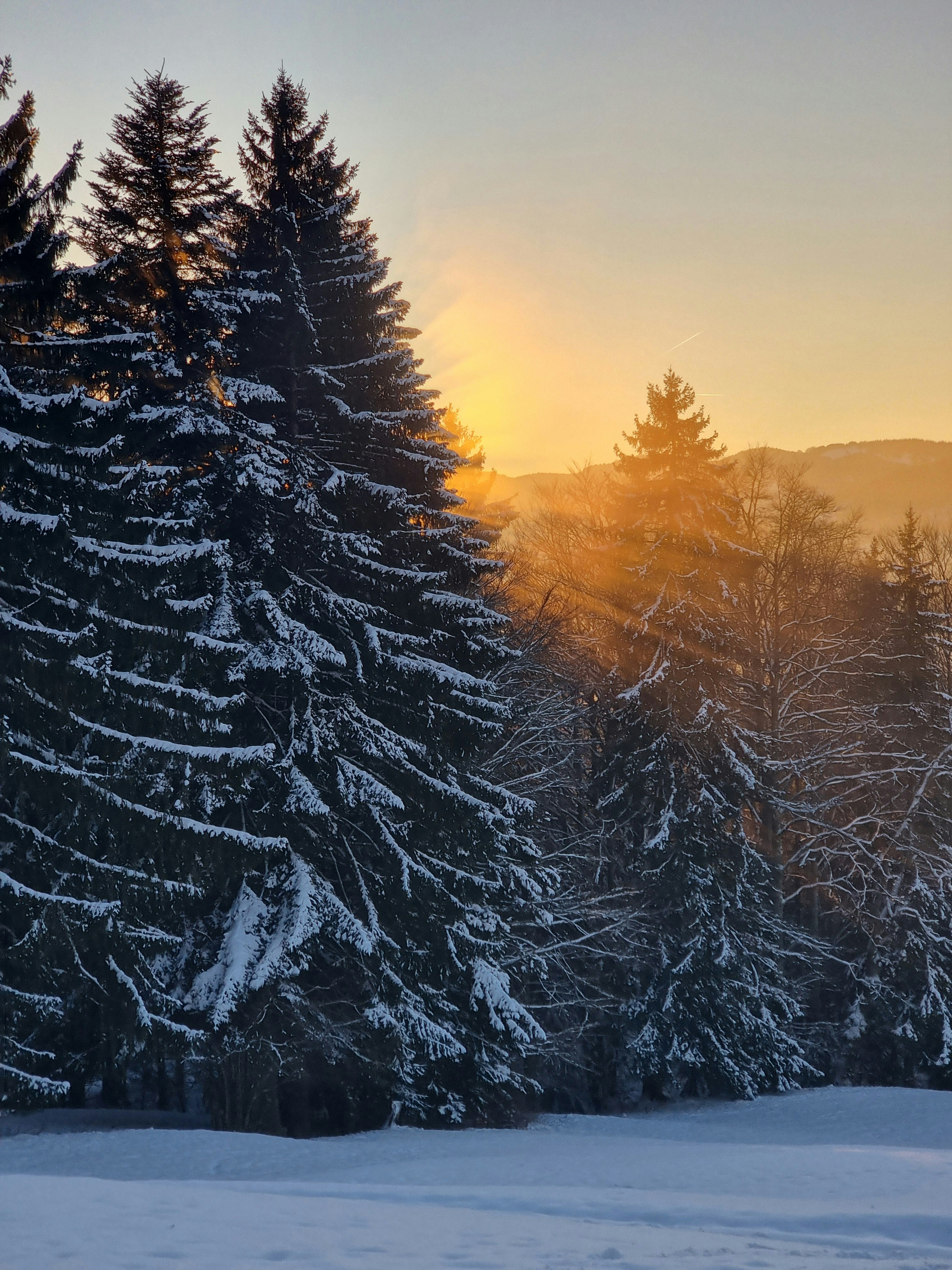 Photo by godefroyboutet