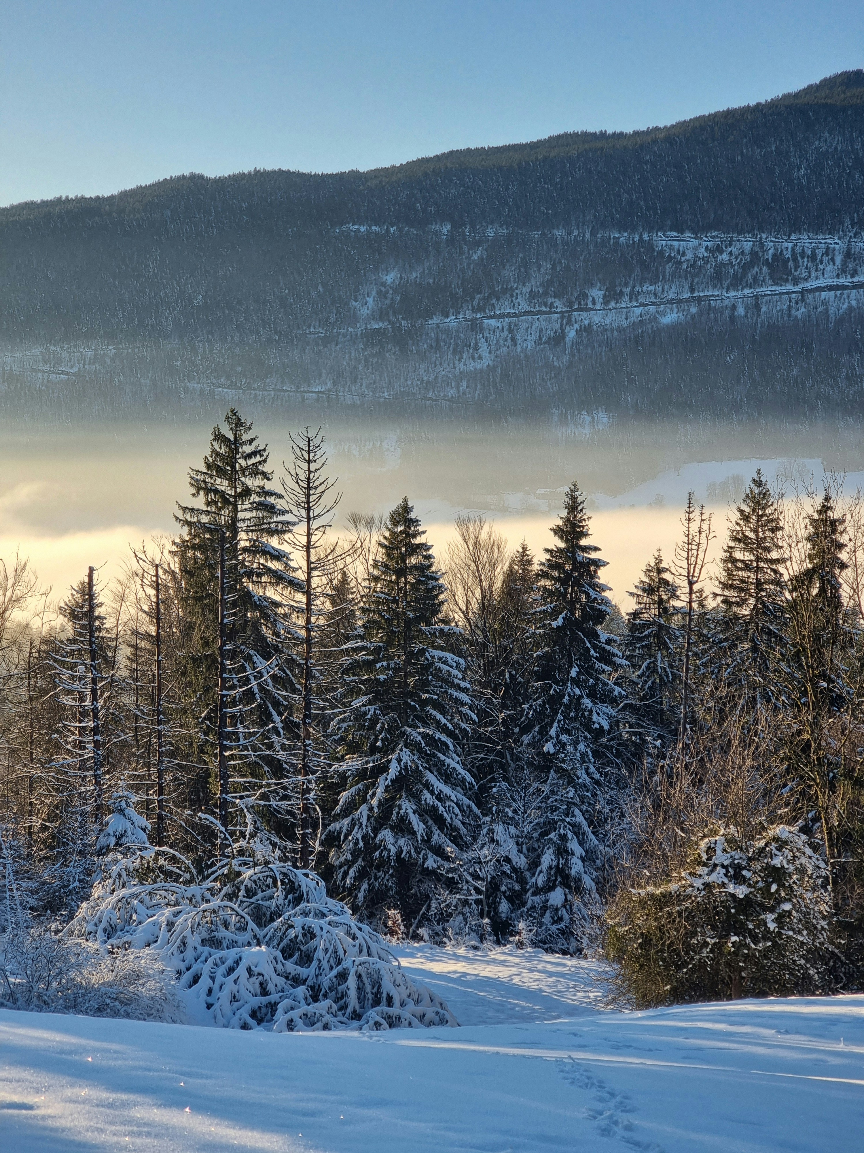 Photo by godefroyboutet