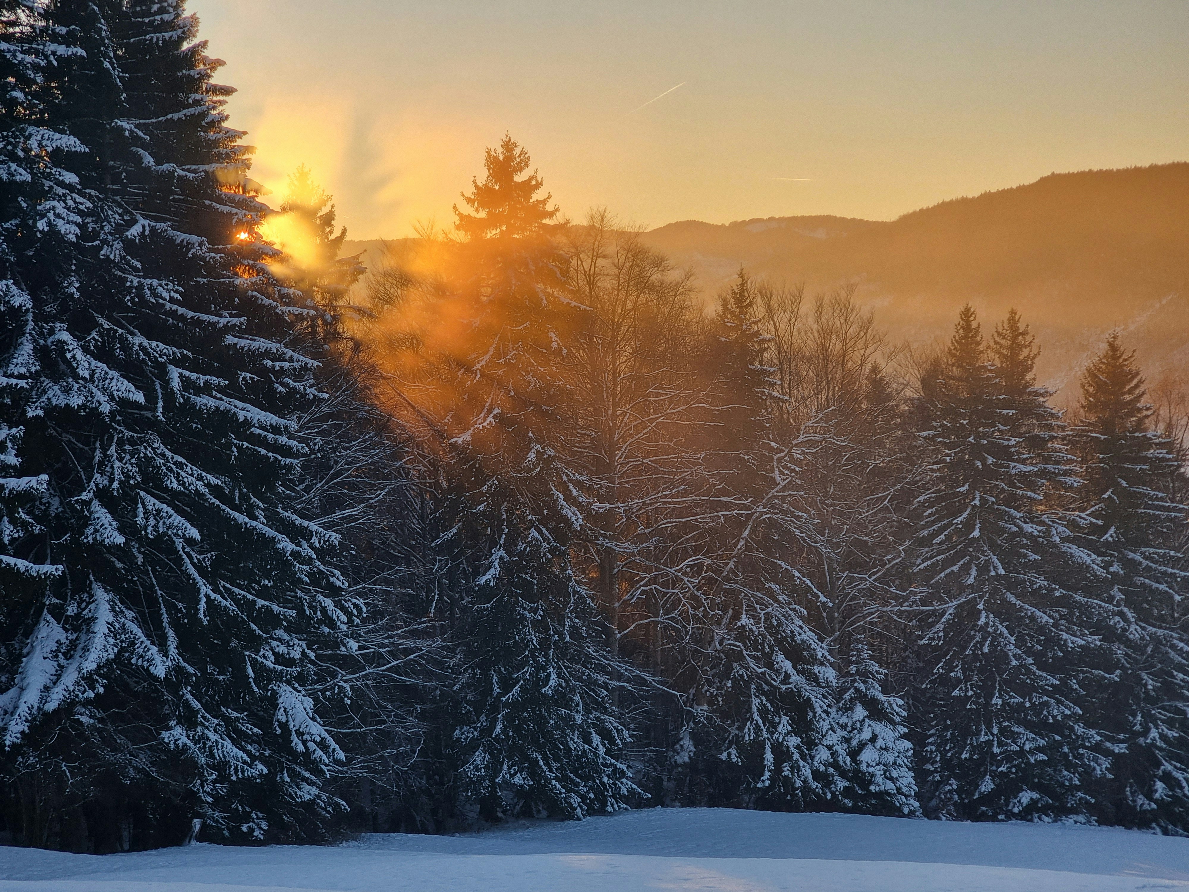 Photo by godefroyboutet