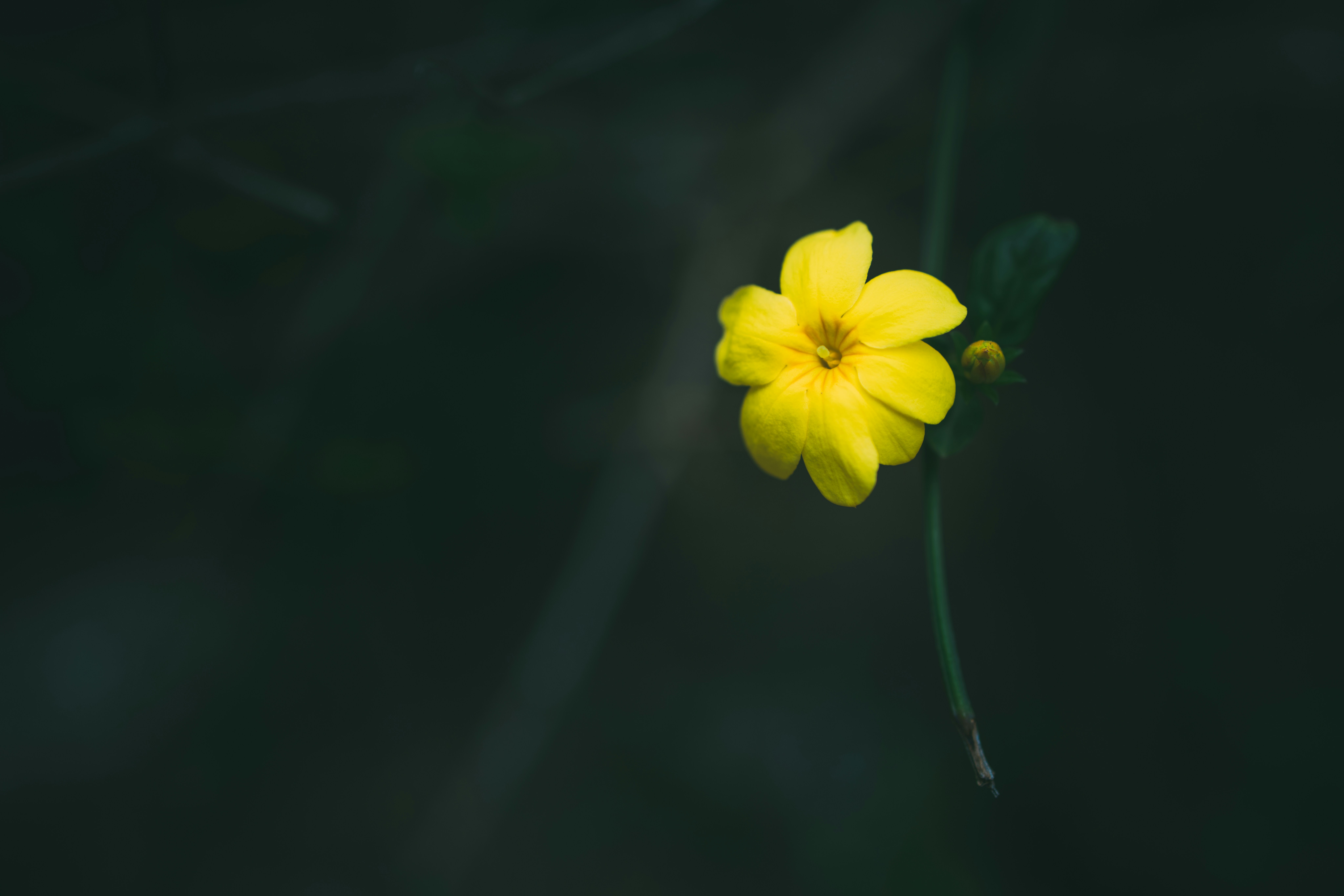 Photo by arttoinspire