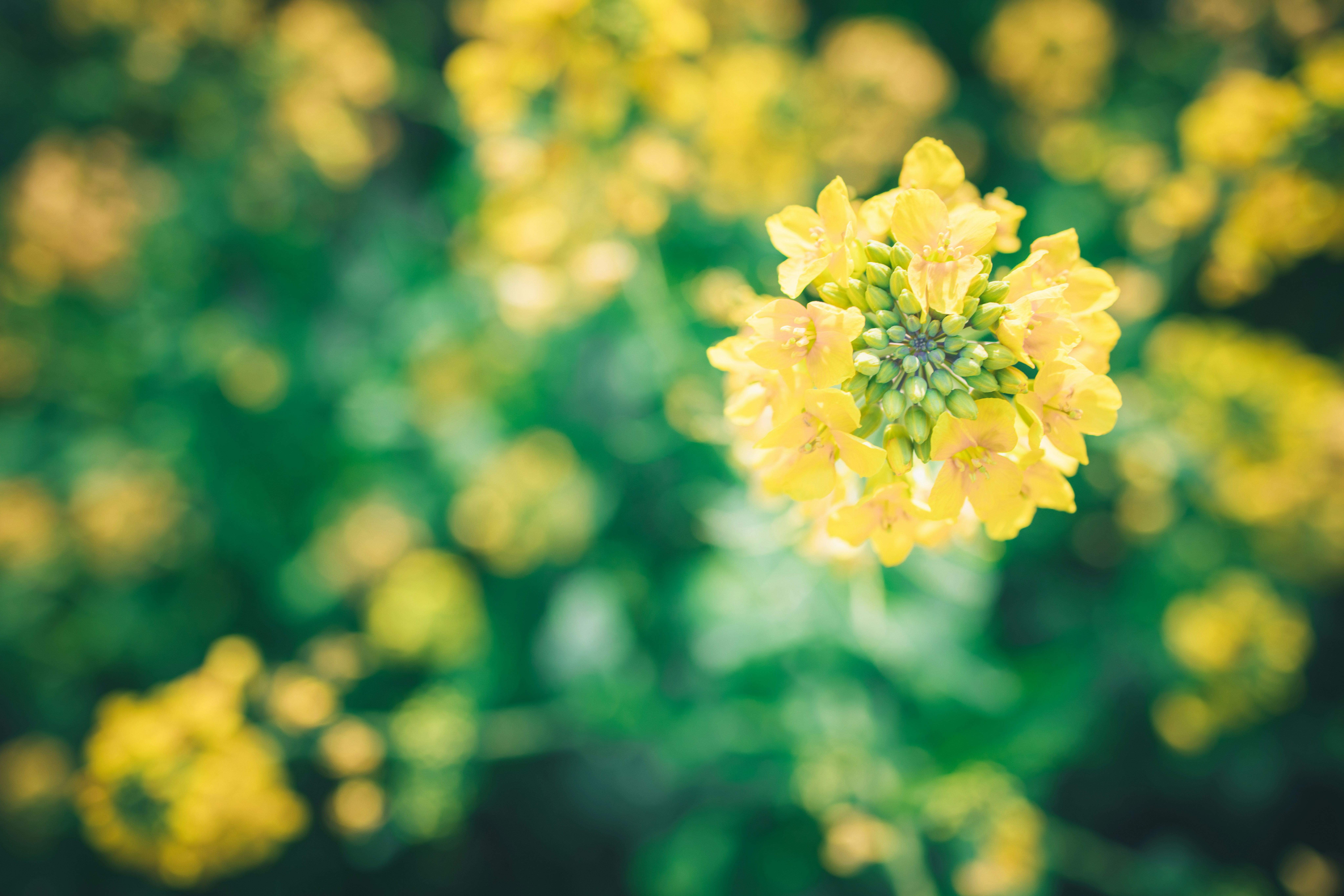 Photo by arttoinspire