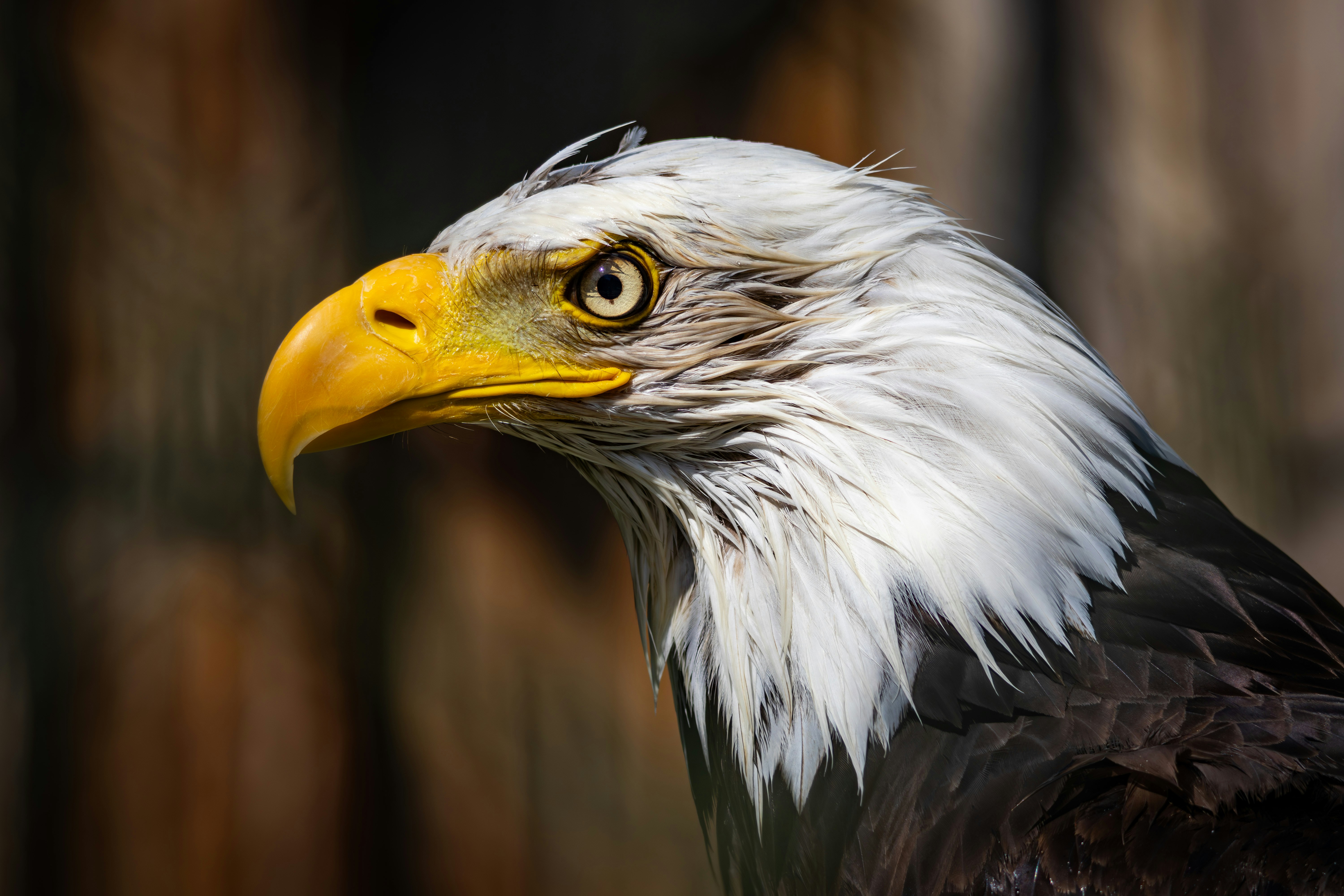 Photo by kennyvrphotography