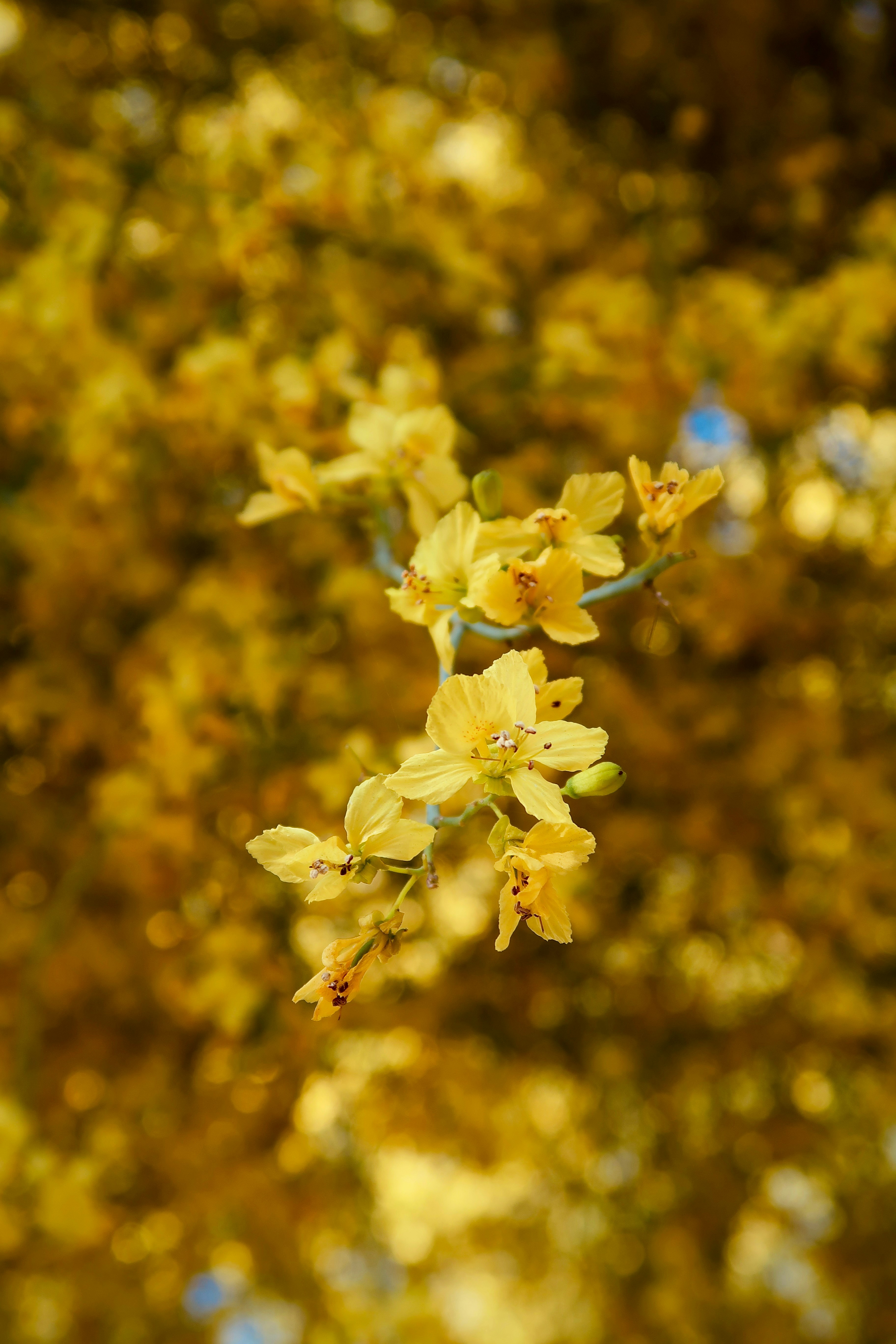 Photo by tiffany_gallen