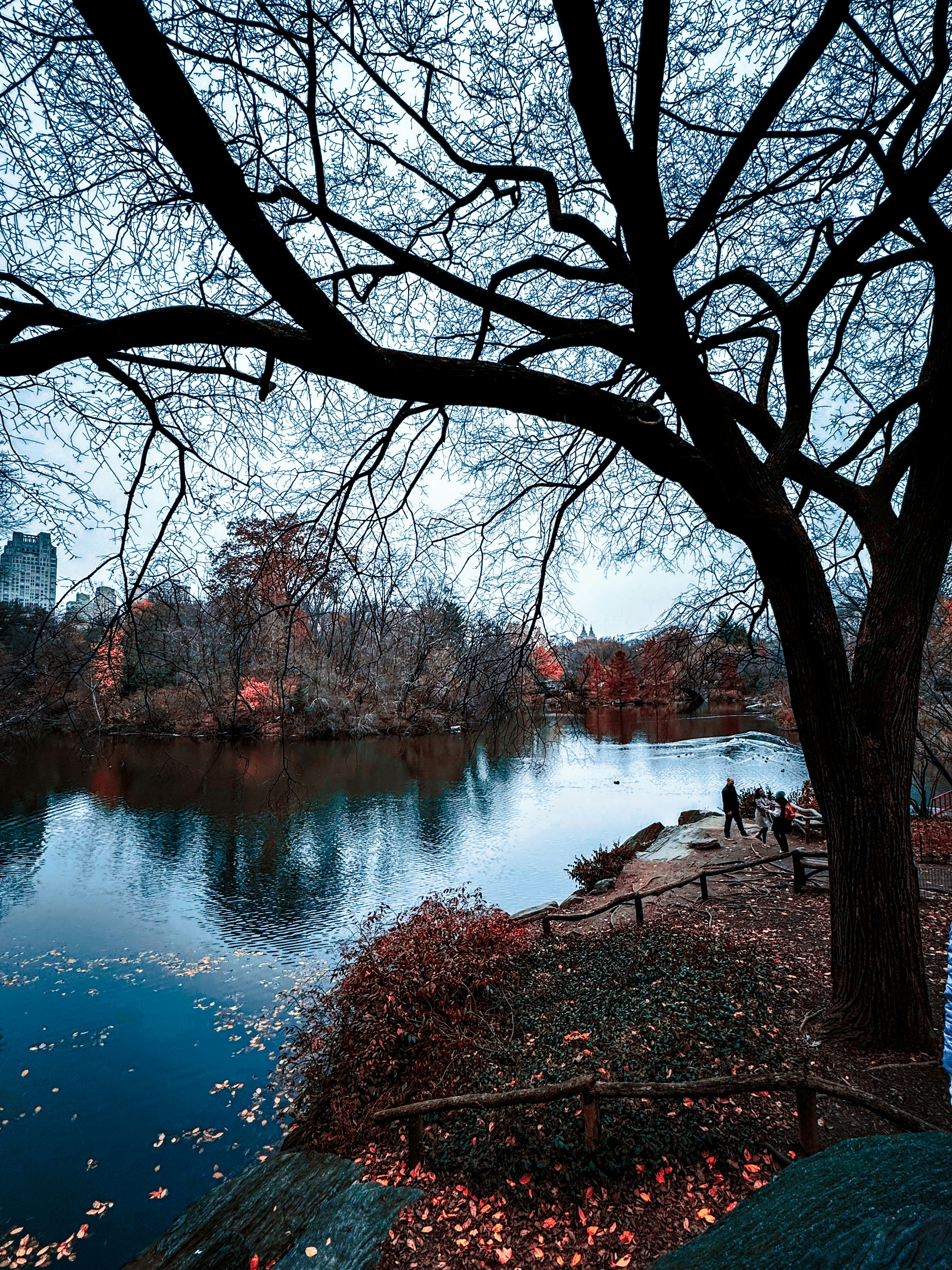 Photo by adphotoss