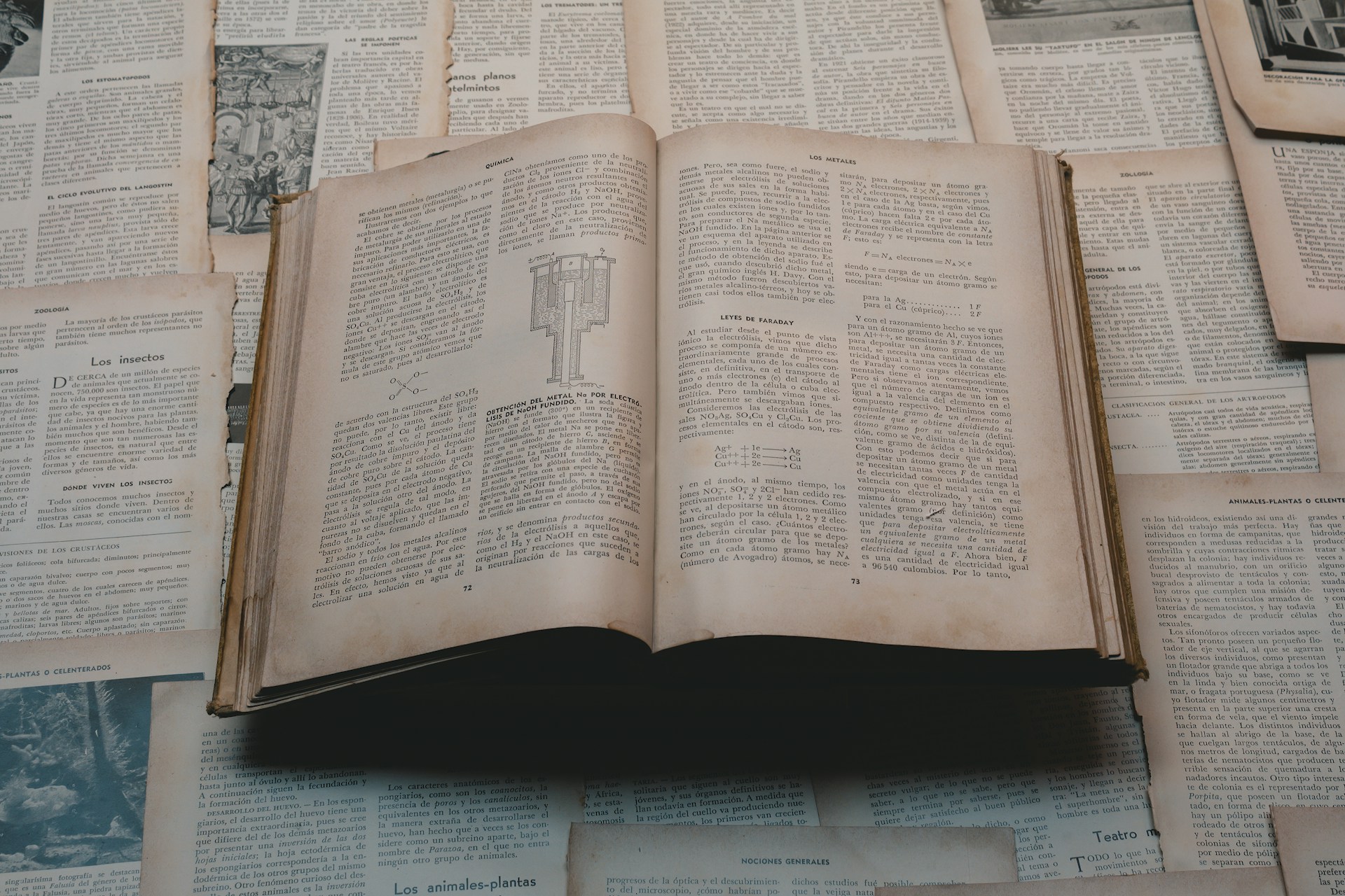 An open book surrounded by loose pages.