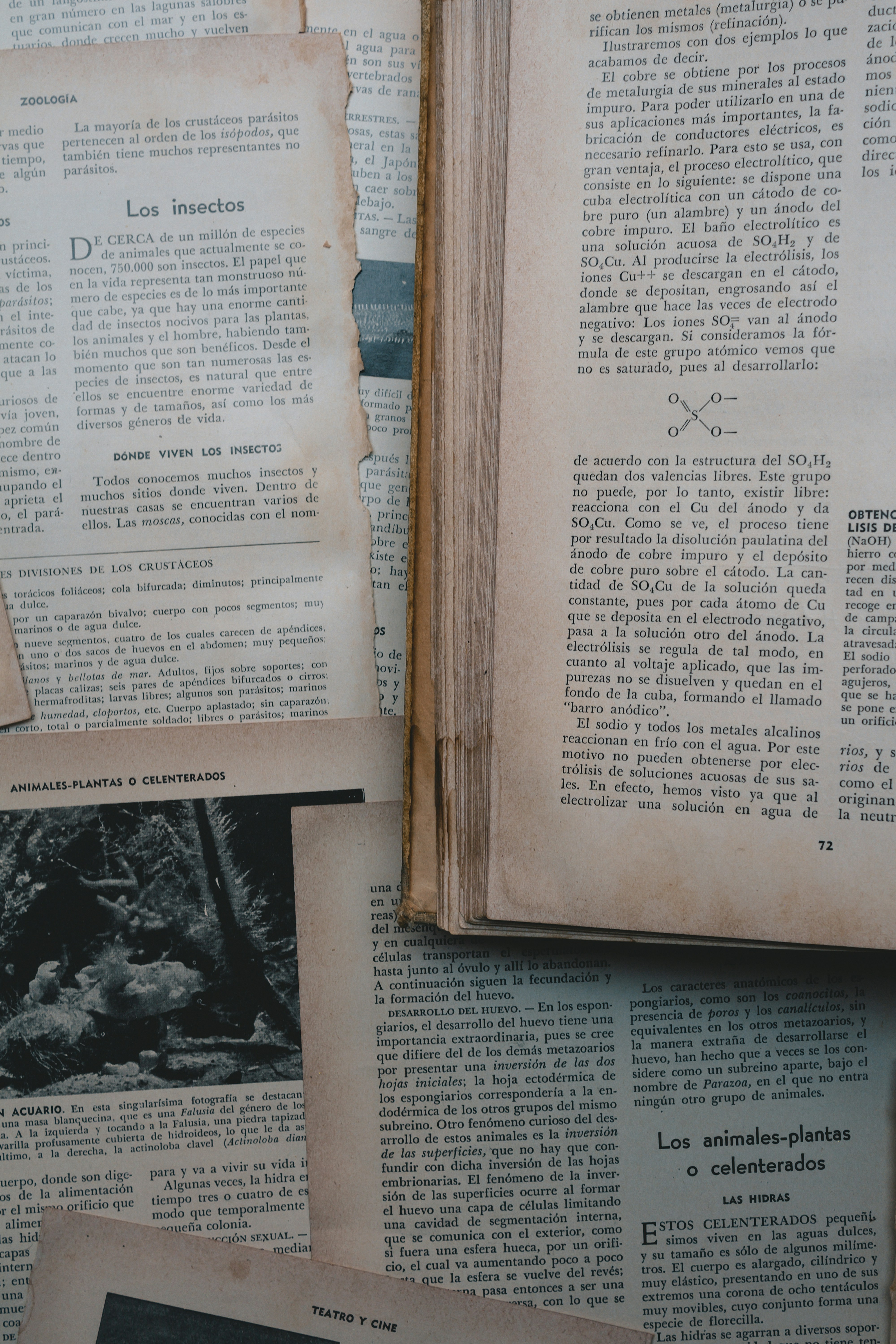 Photo by americanaez225