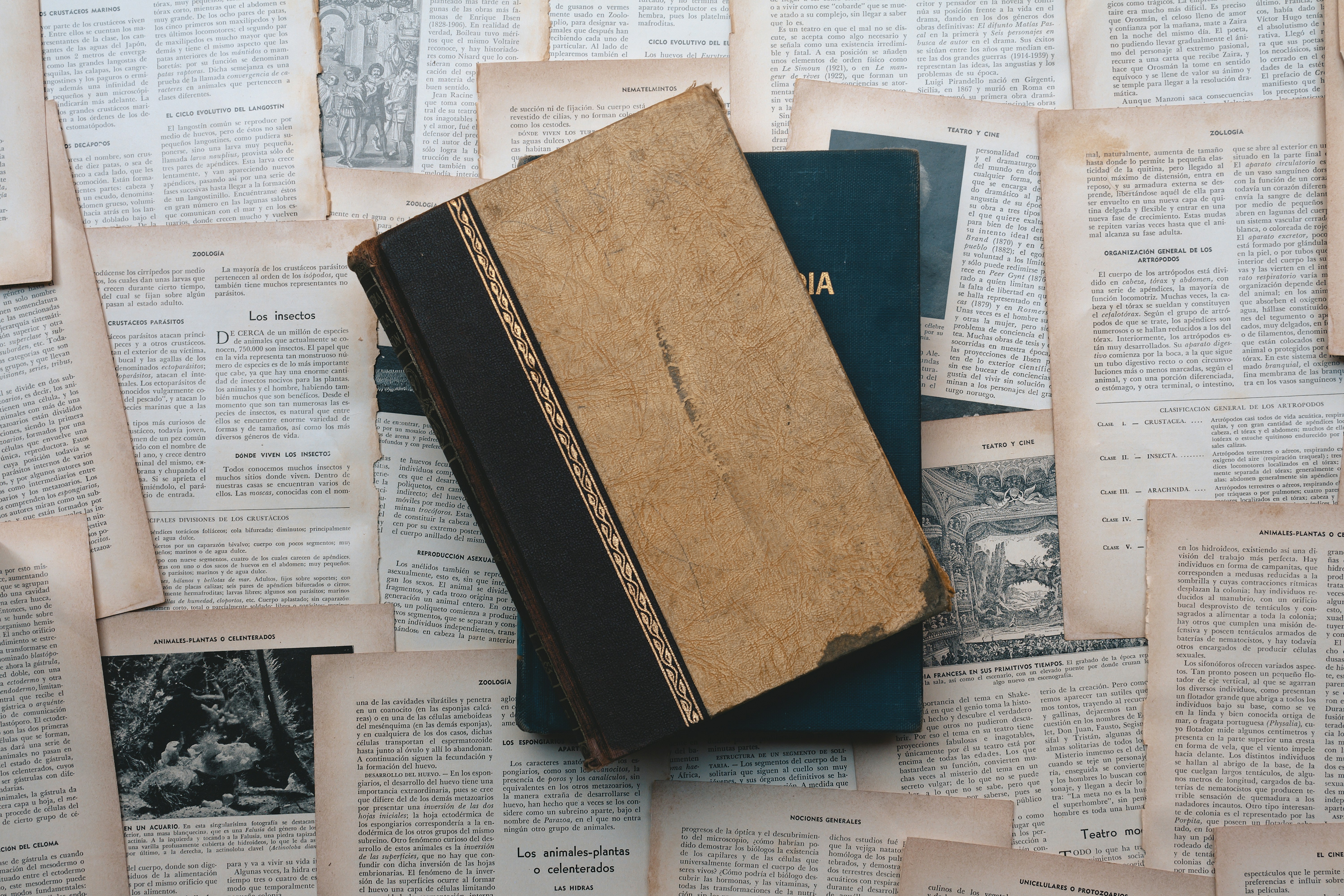 Photo by americanaez225