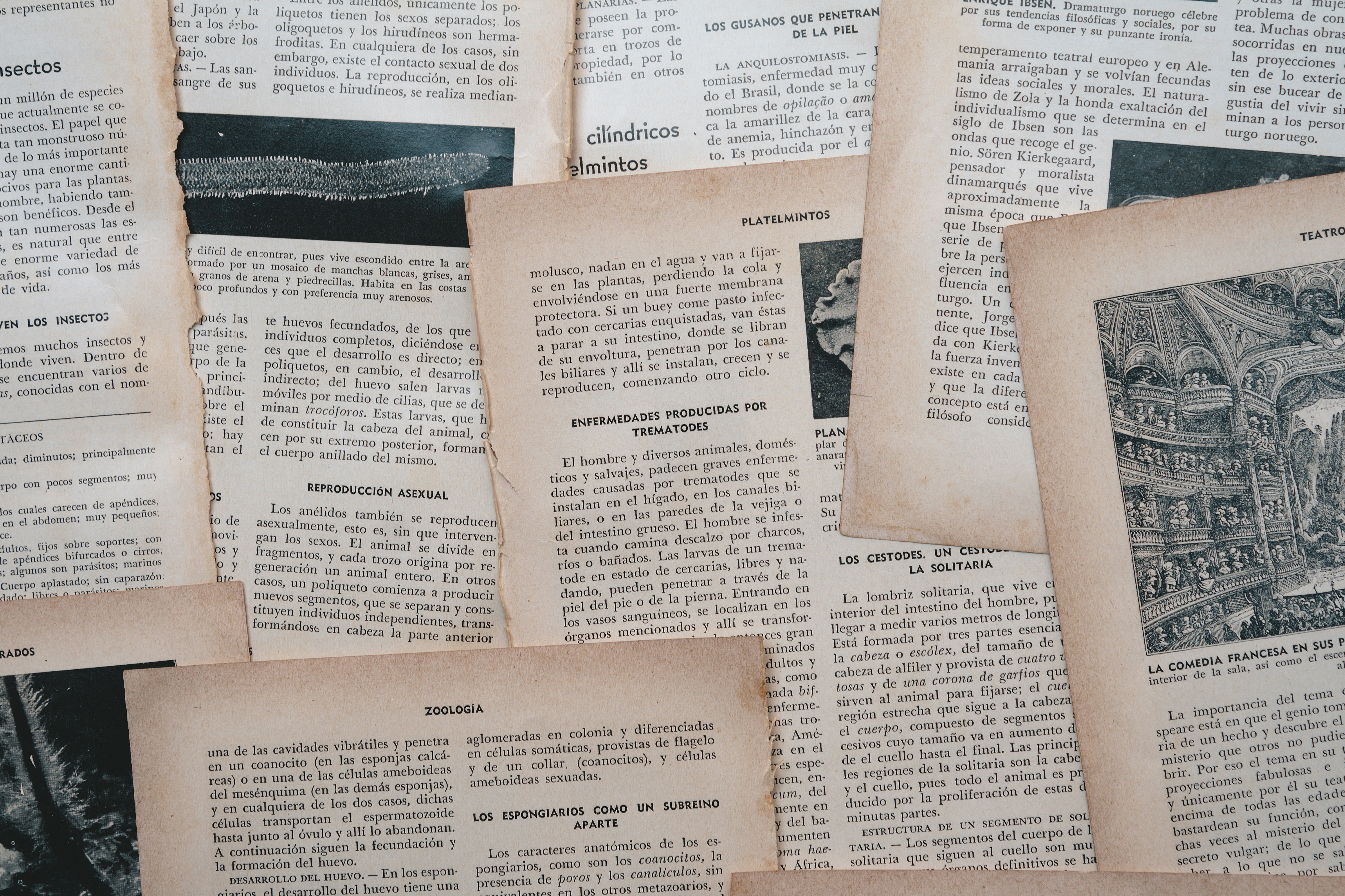 Photo by americanaez225