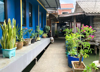Plants line a walkway between blue and wooden buildings