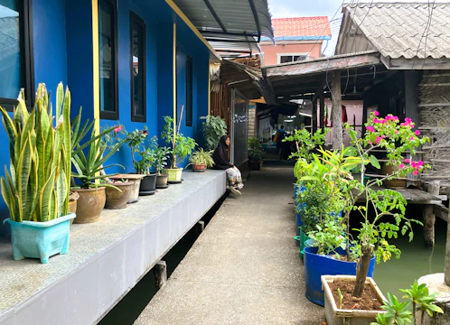Plants line a walkway between blue and wooden buildings