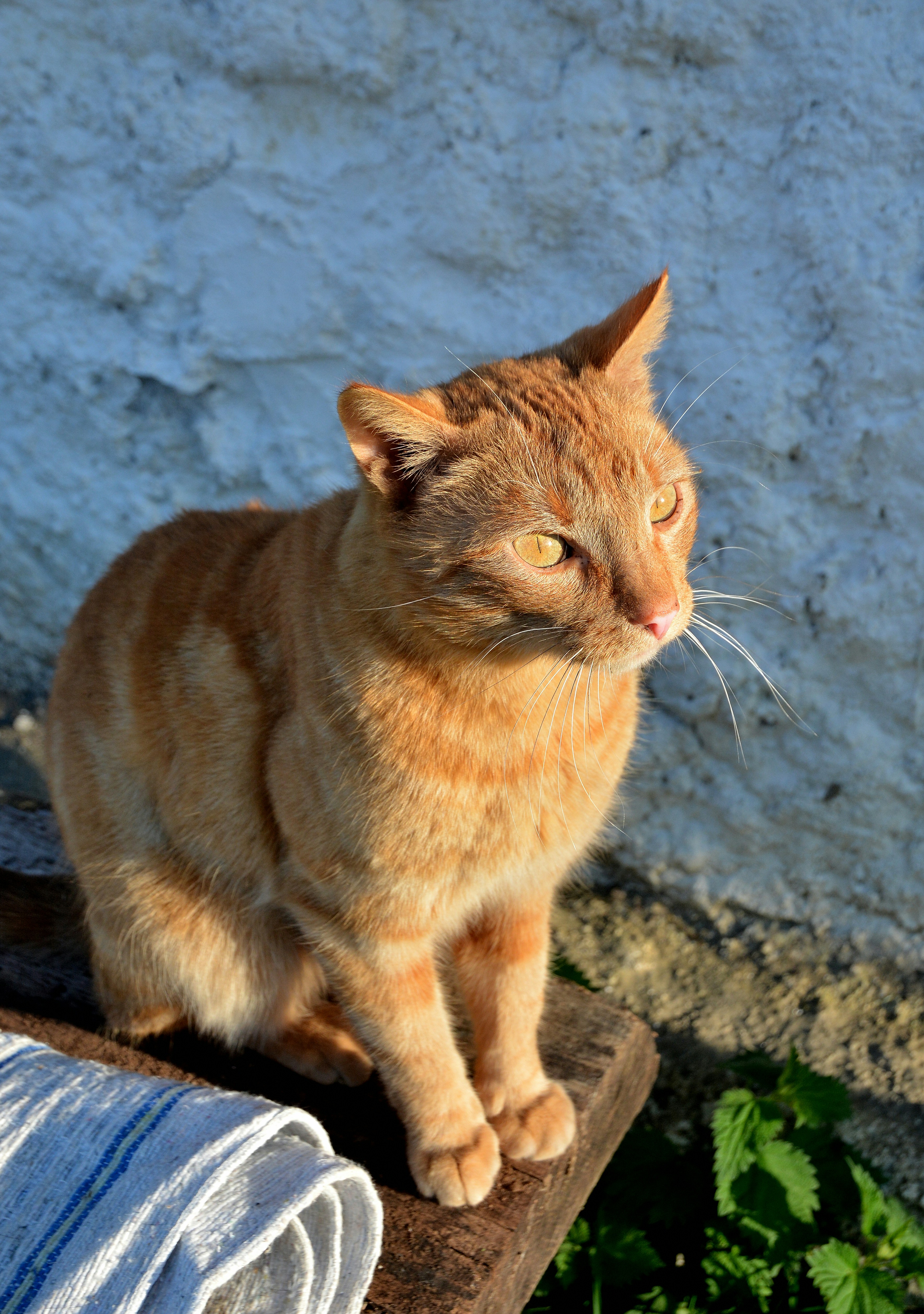 Photo by ashwinward18