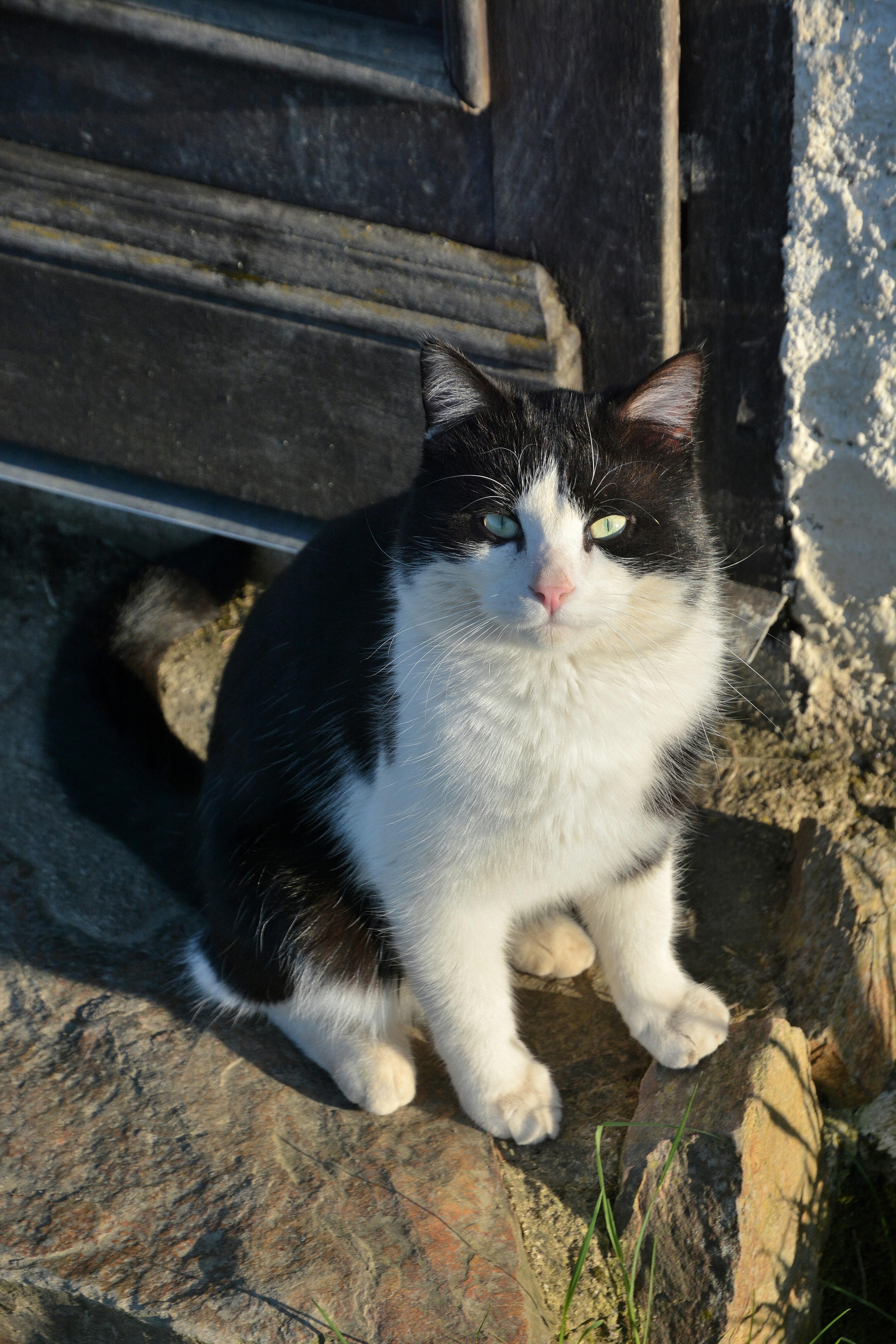 Photo by ashwinward18