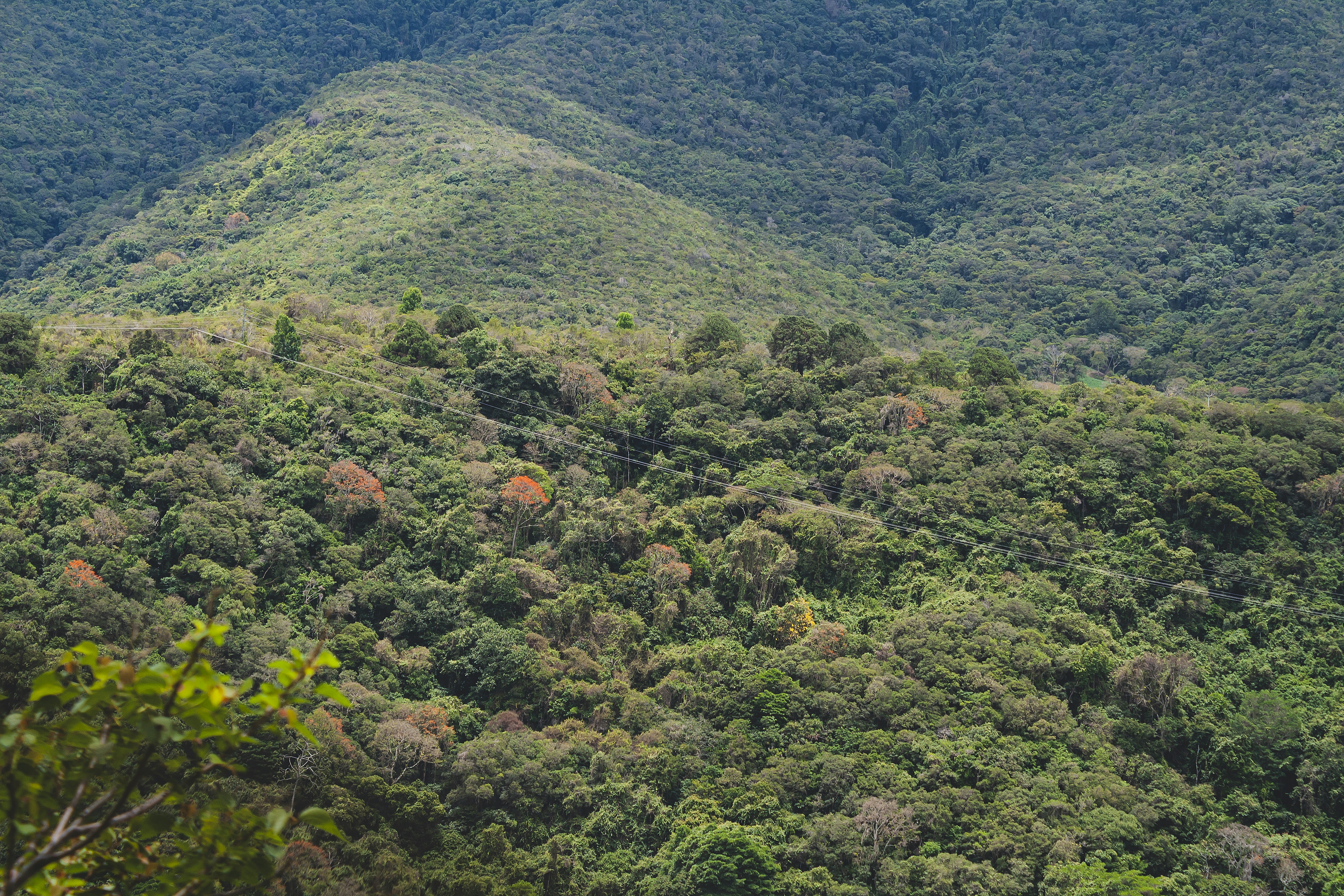 Photo by americanaez225