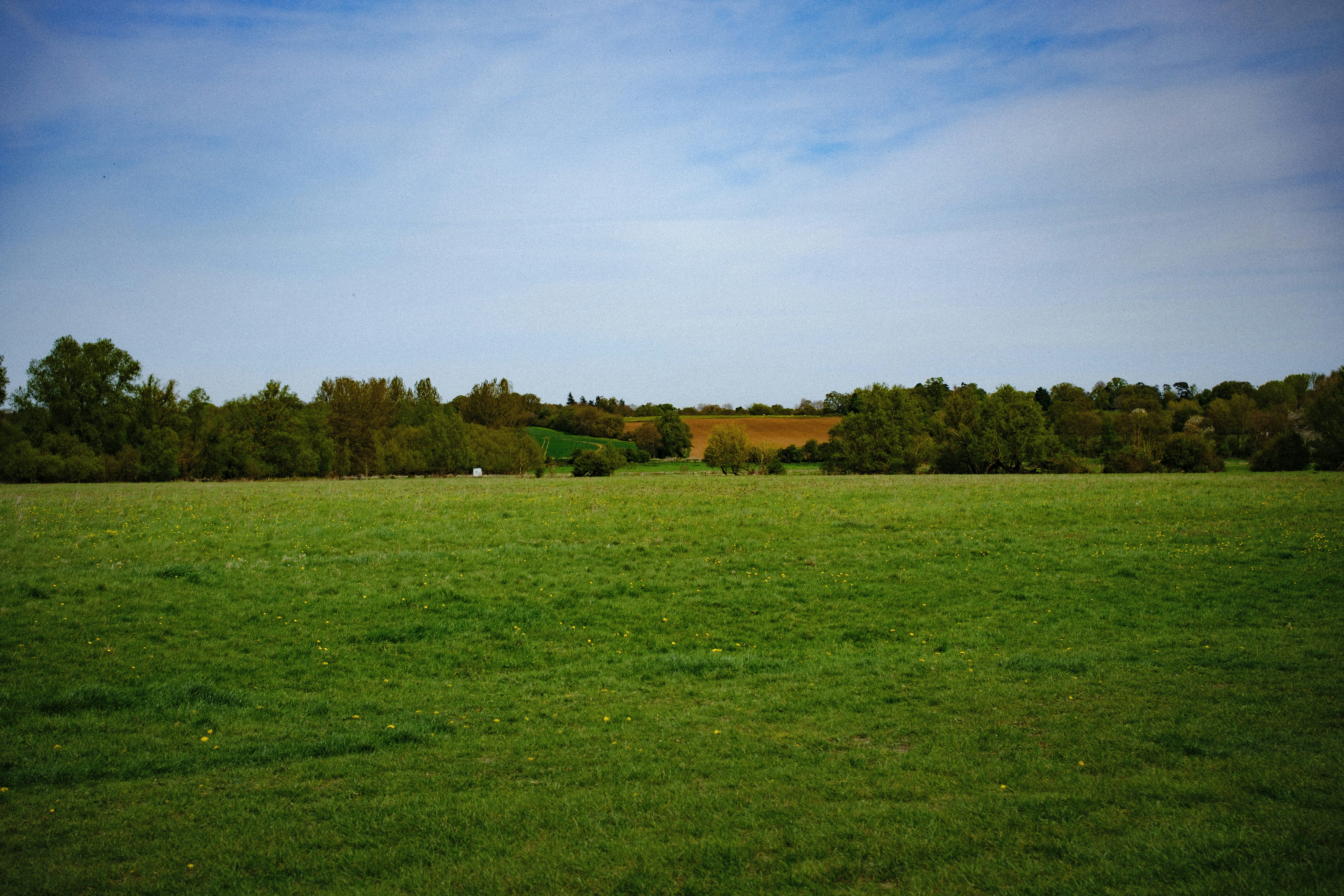 Photo by ayotundeikuesan