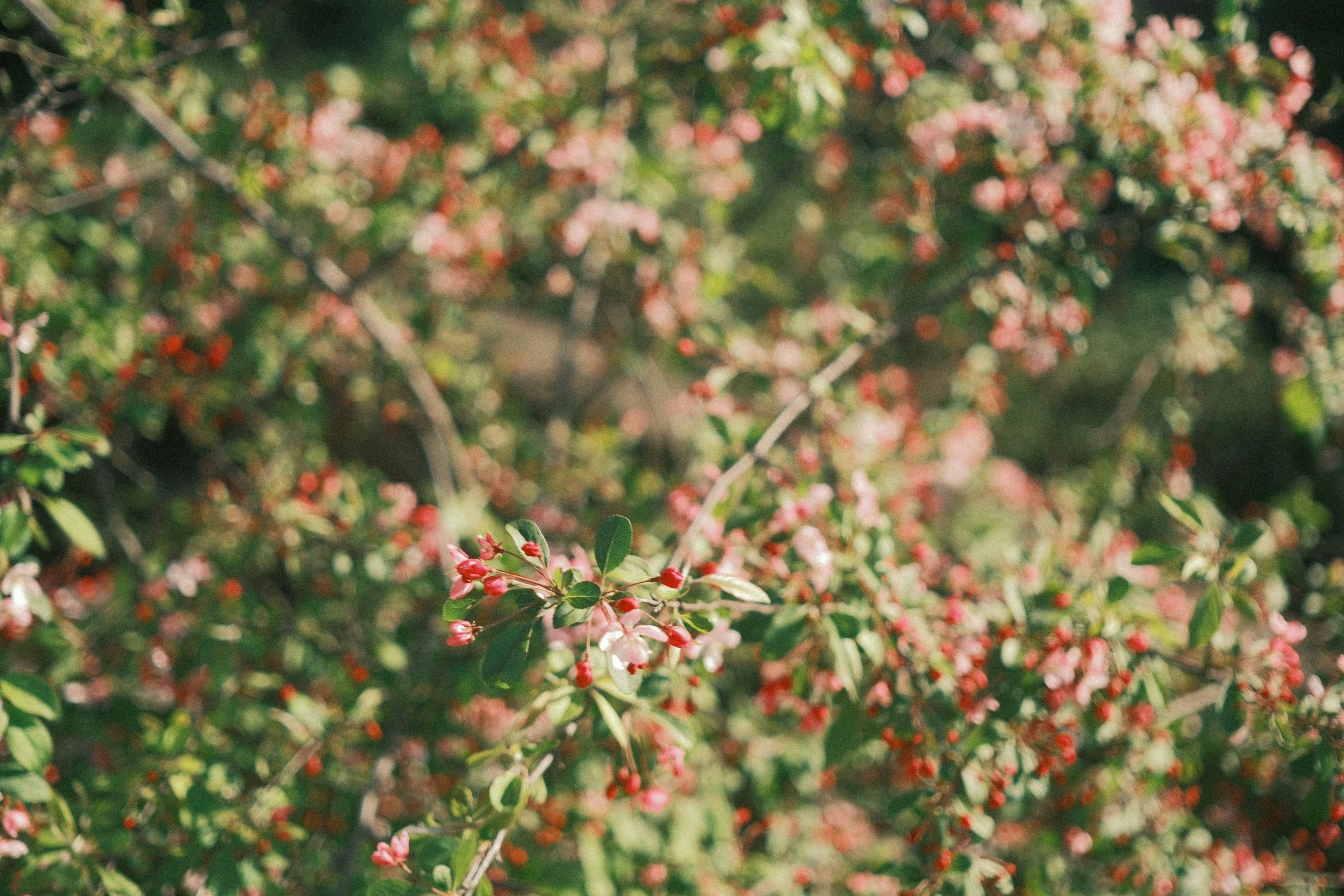 Photo by ayotundeikuesan