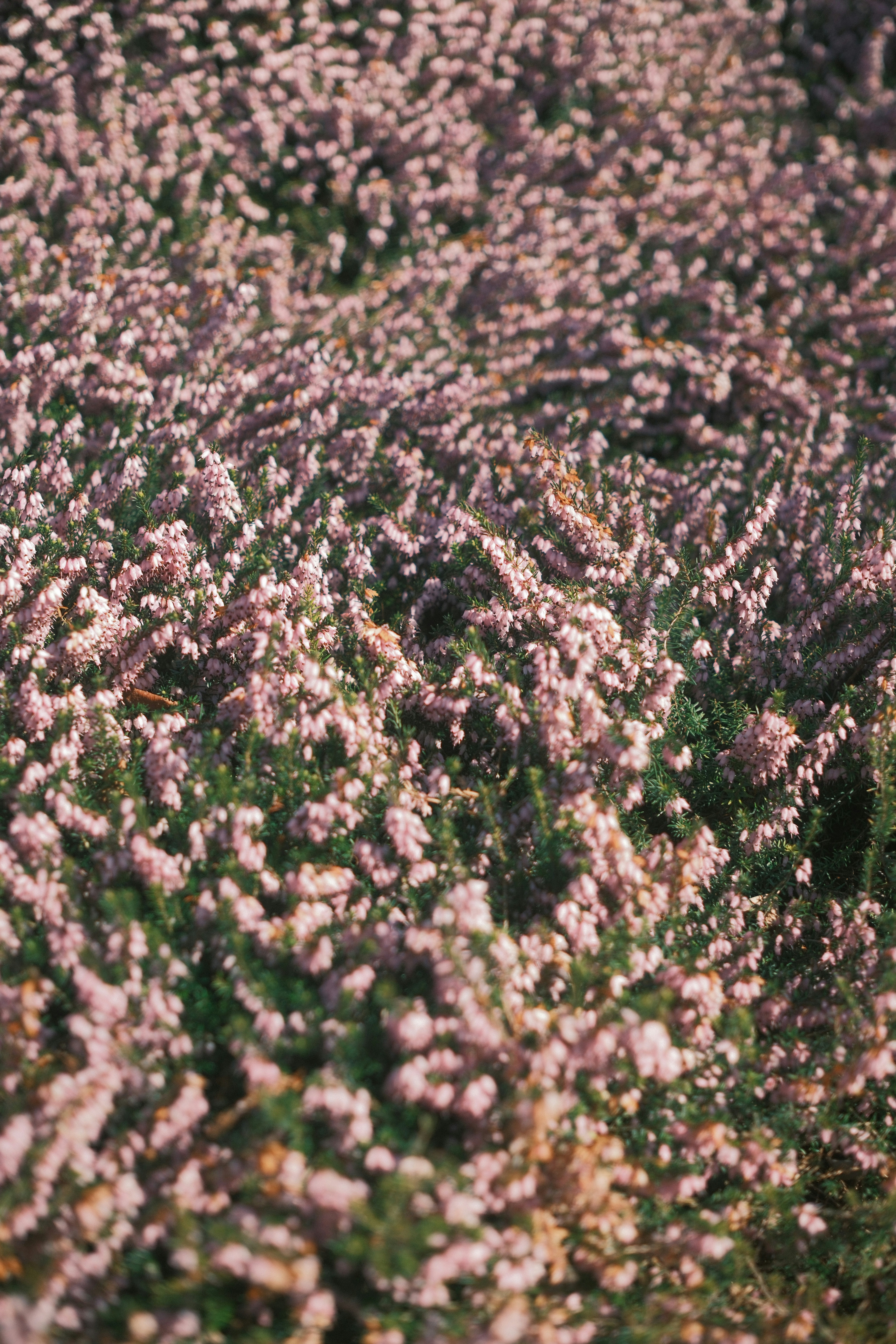 Photo by ayotundeikuesan