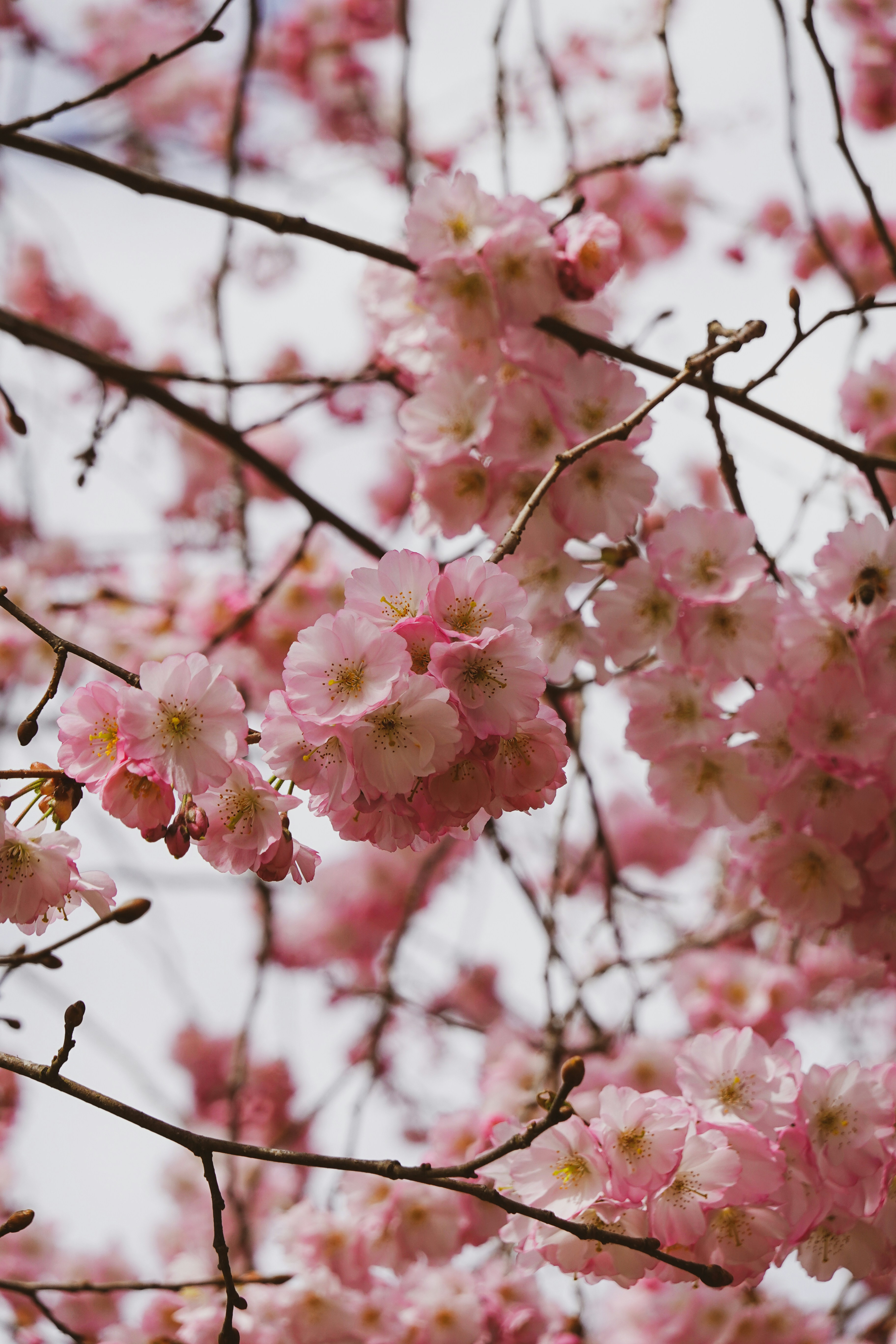 Photo by estebantrivelli