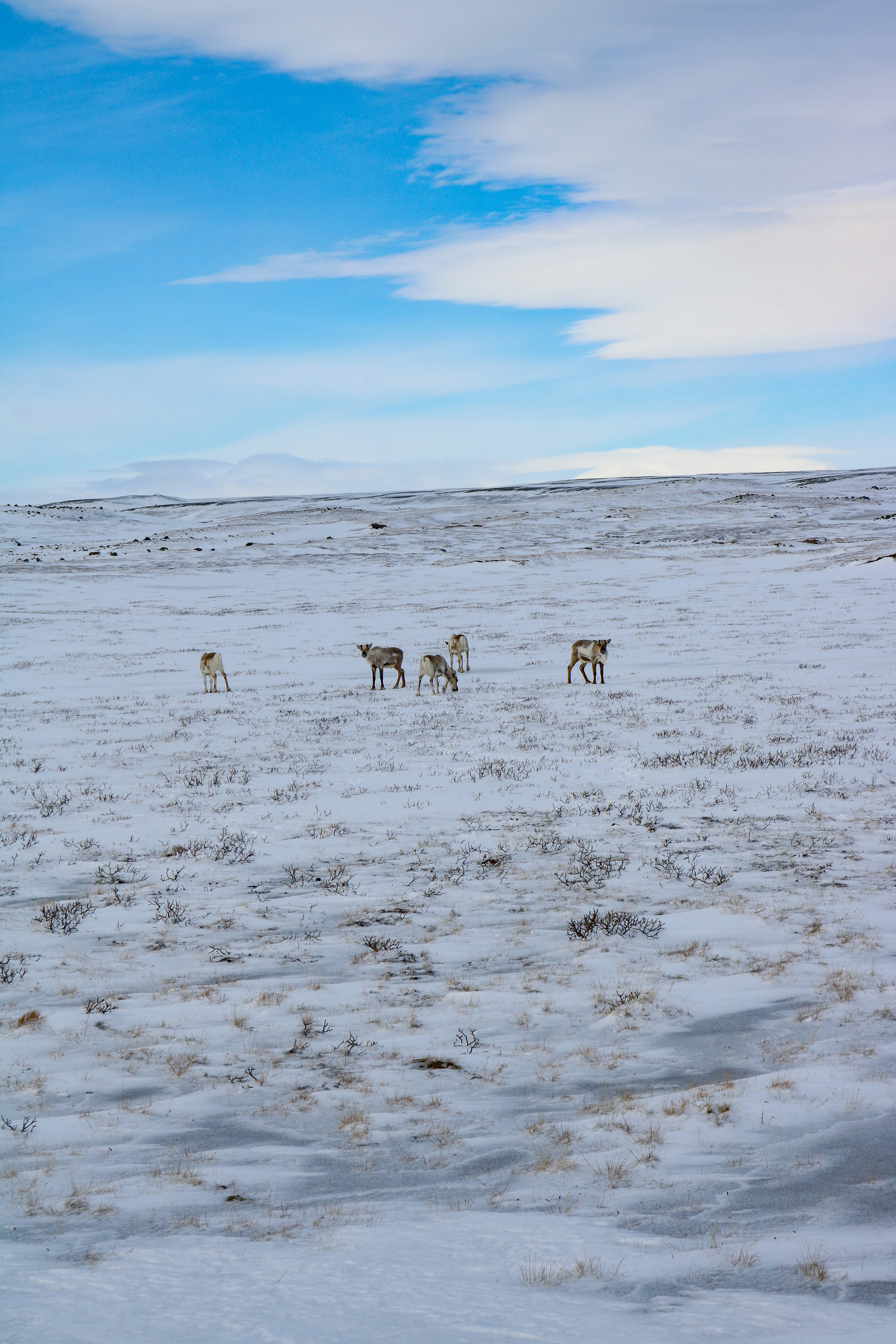 Photo by jonathanphelps