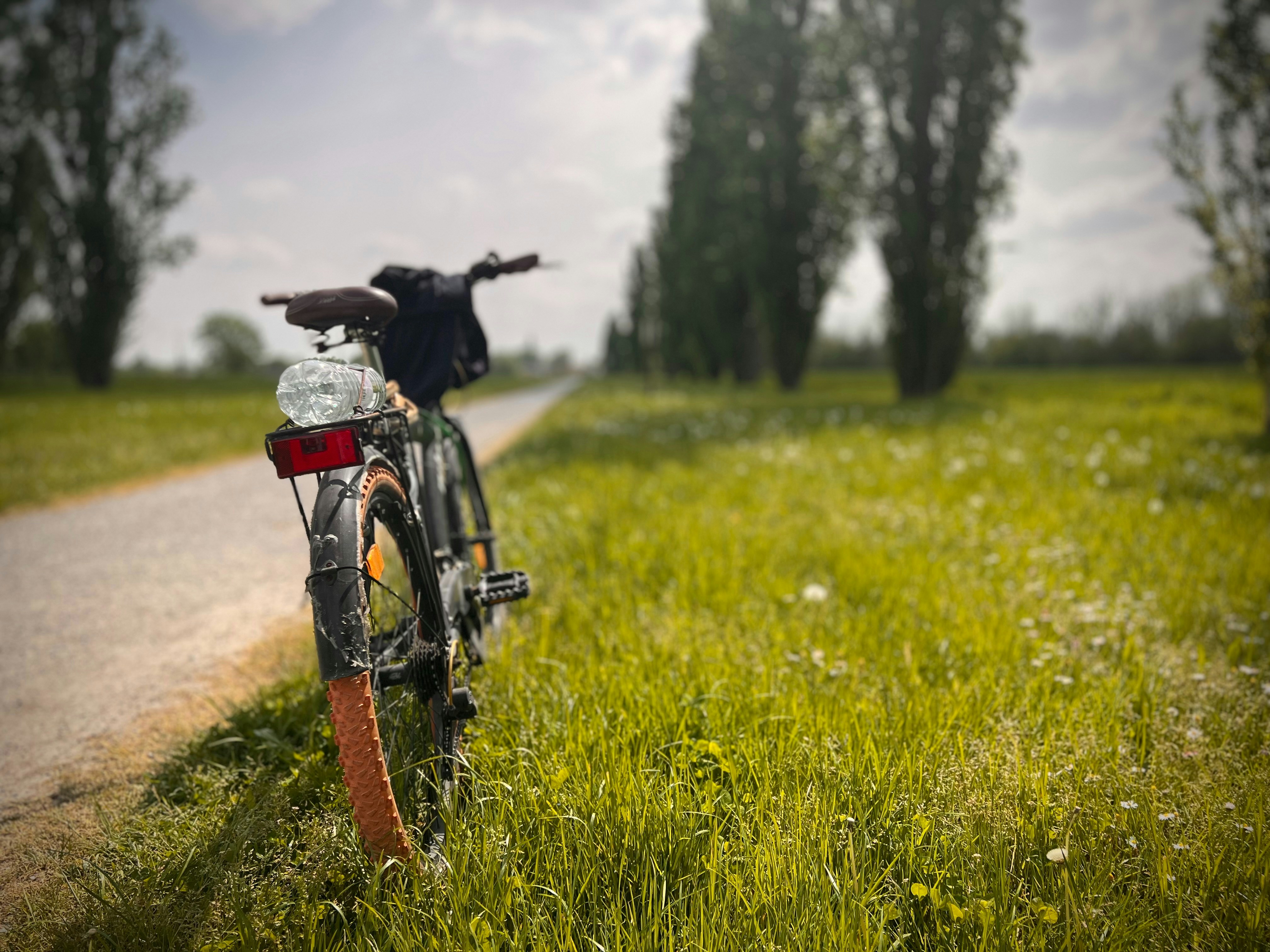 A bicycle rests beside a grassy path.