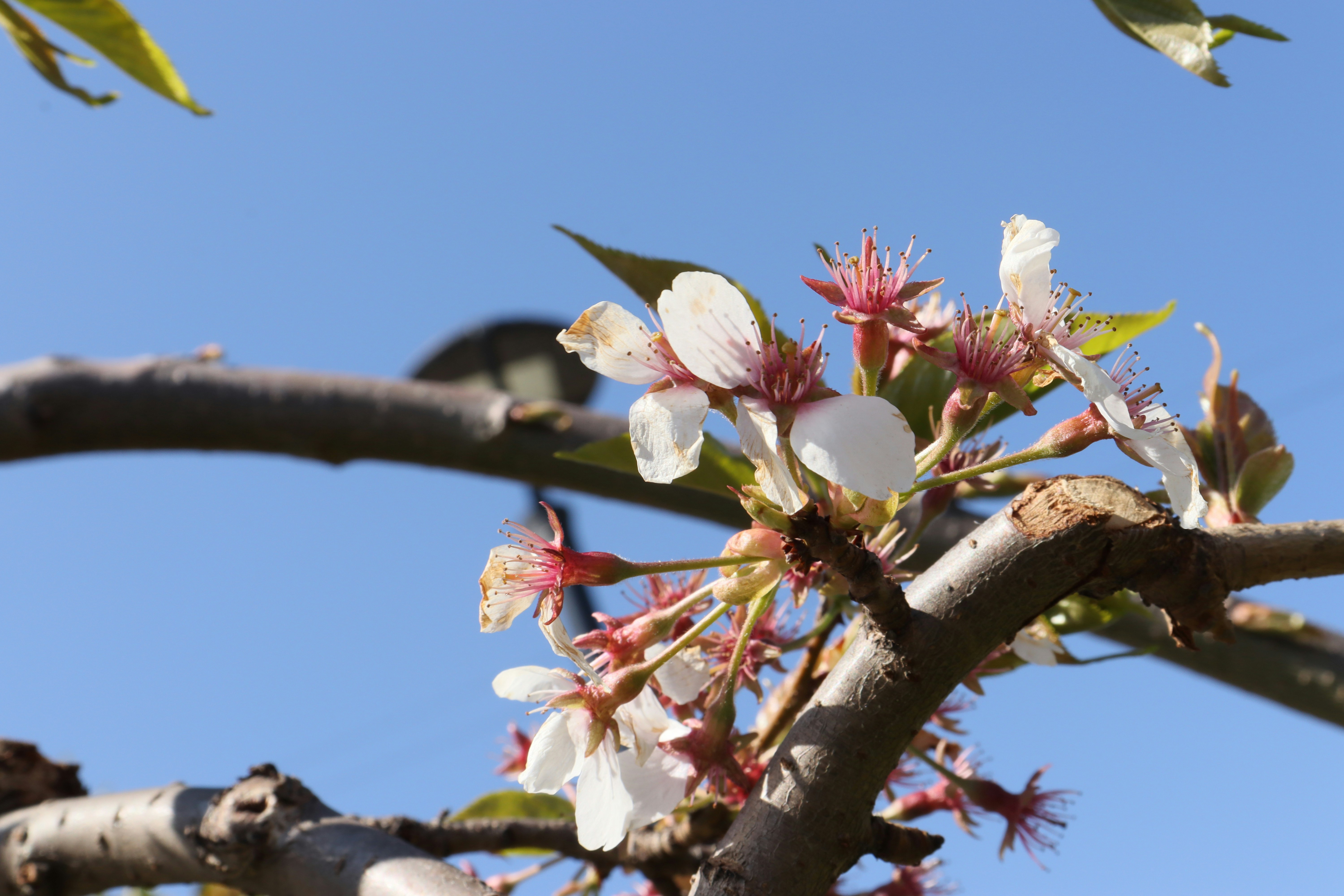 Photo by bored_mongoose